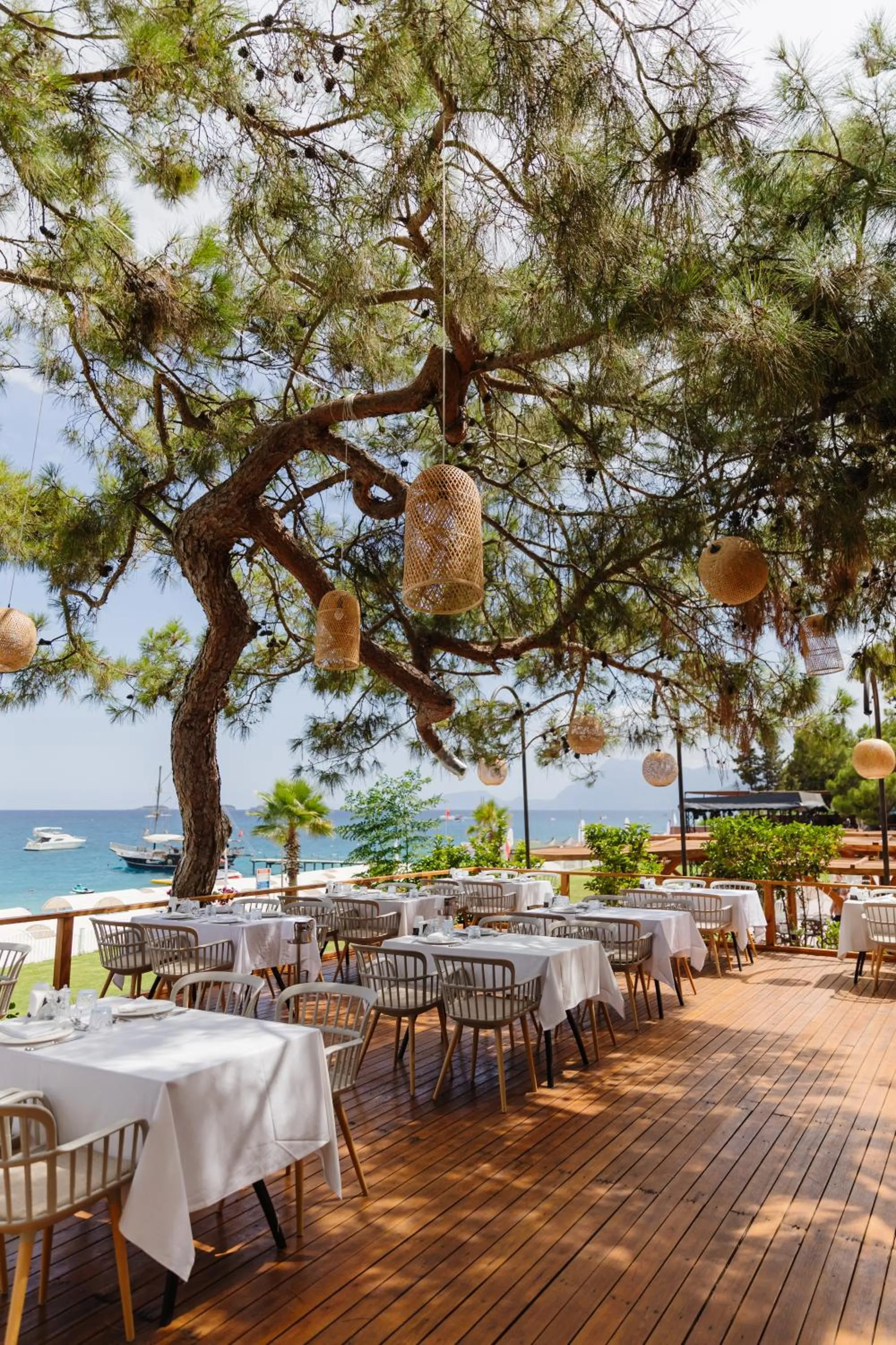 Restaurant/places to eat in Fun & Sun Club Saphire