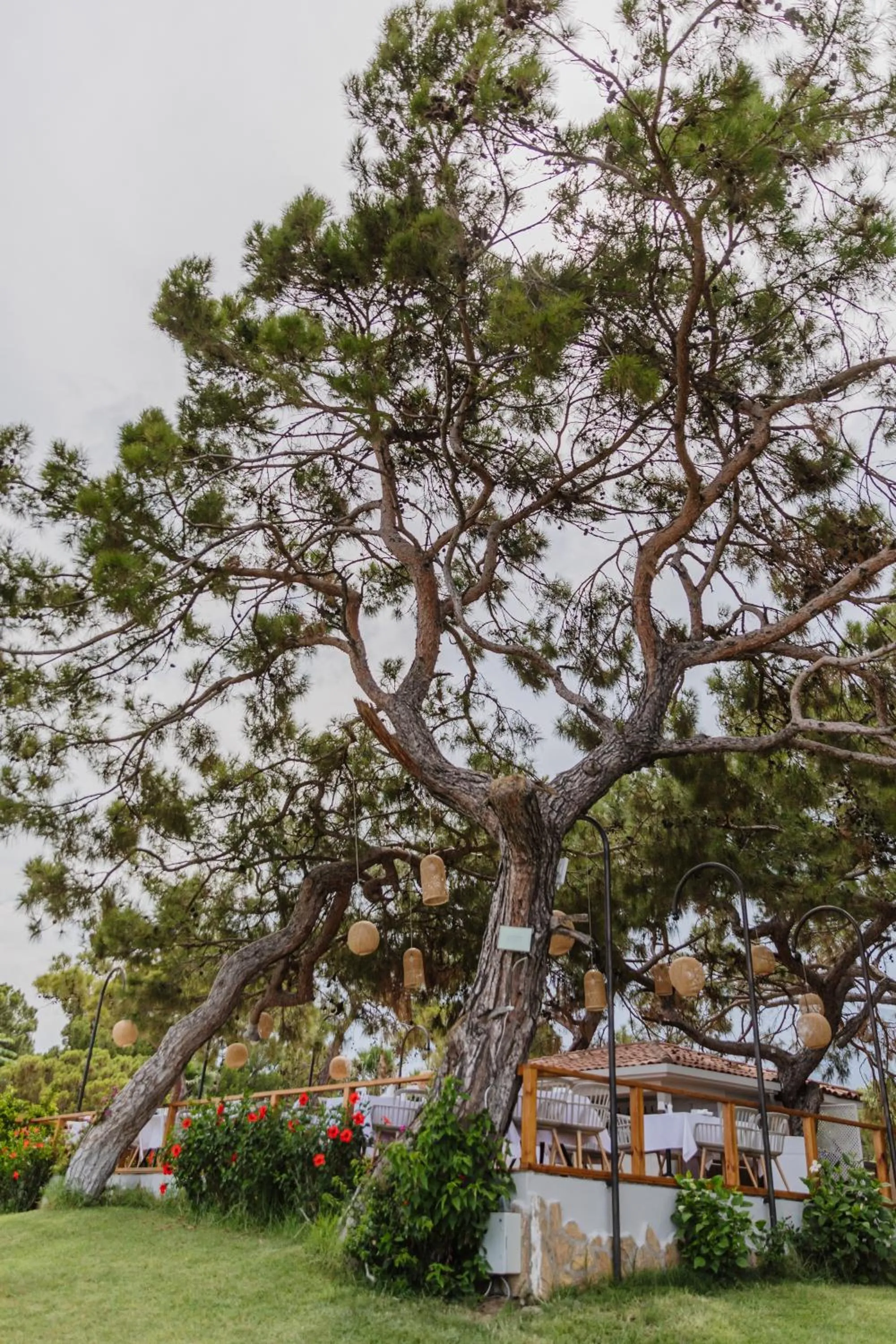 Natural landscape in Fun & Sun Club Saphire