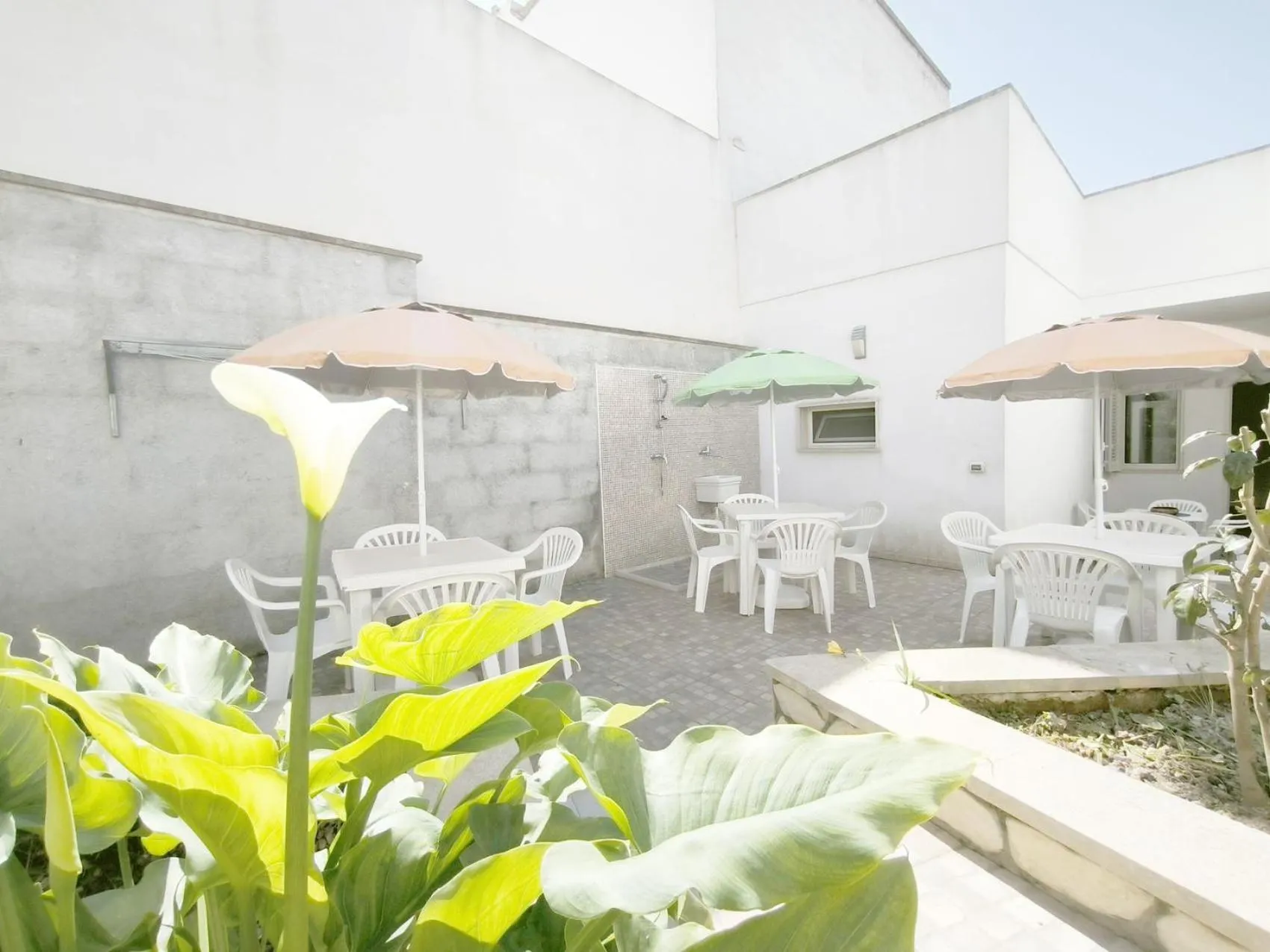 Garden in Domus Petrosa