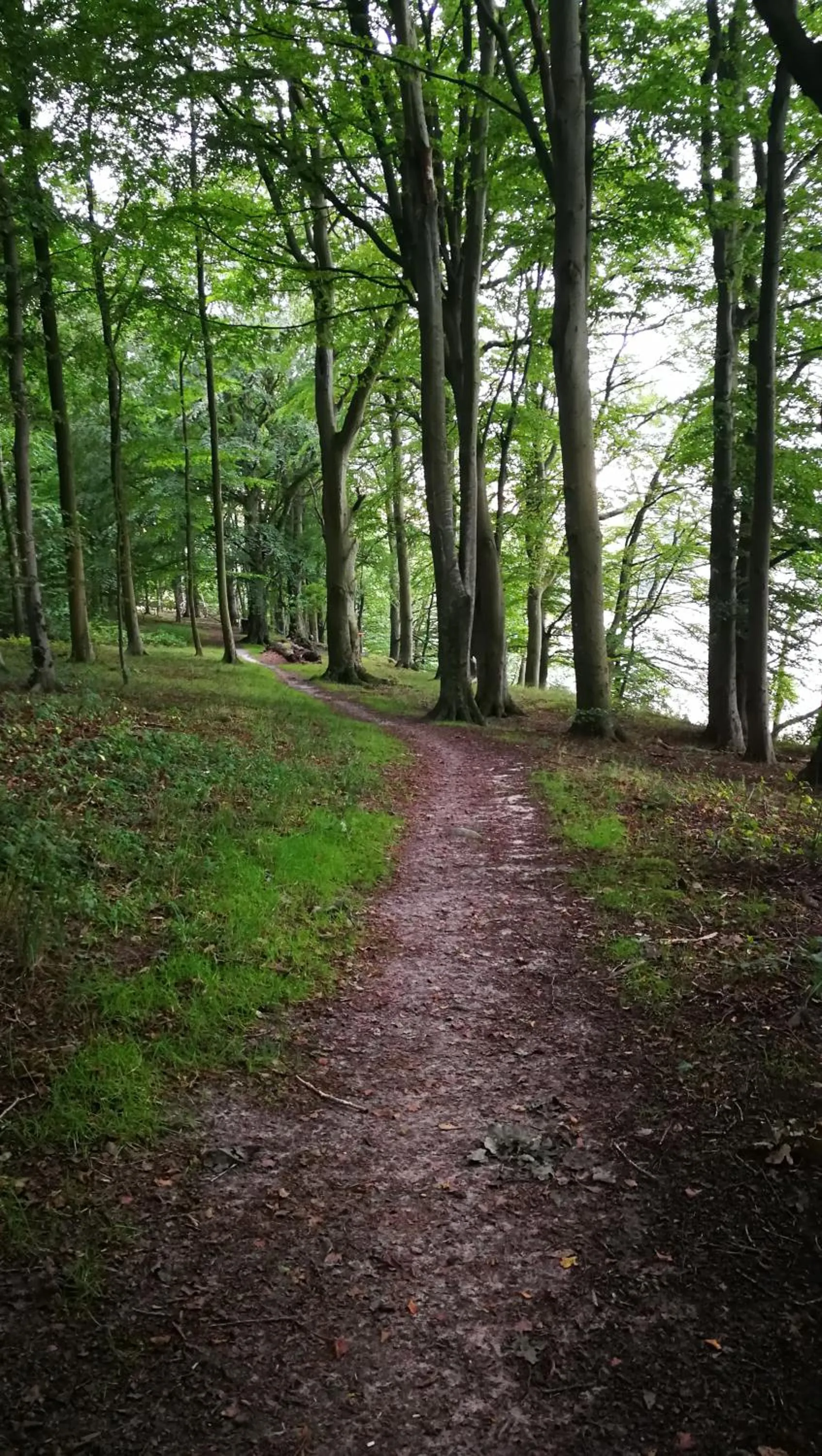 Natural landscape in Kastanievejens overnatning