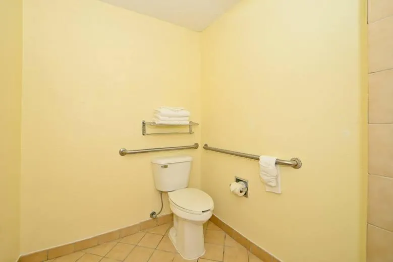 Bathroom in Manchester Heritage Inn & Suites