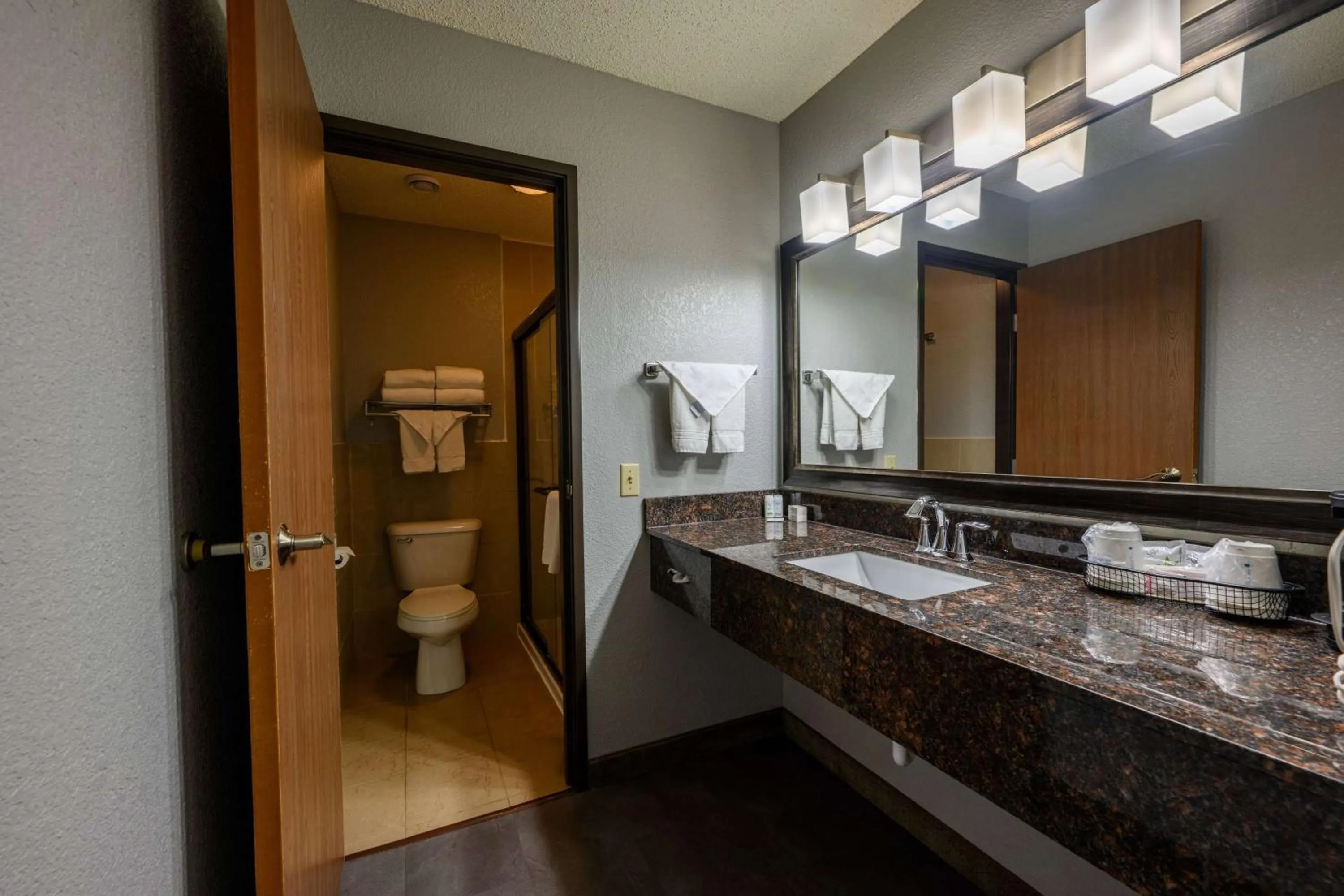 Bathroom in AmericInn by Wyndham Monroe