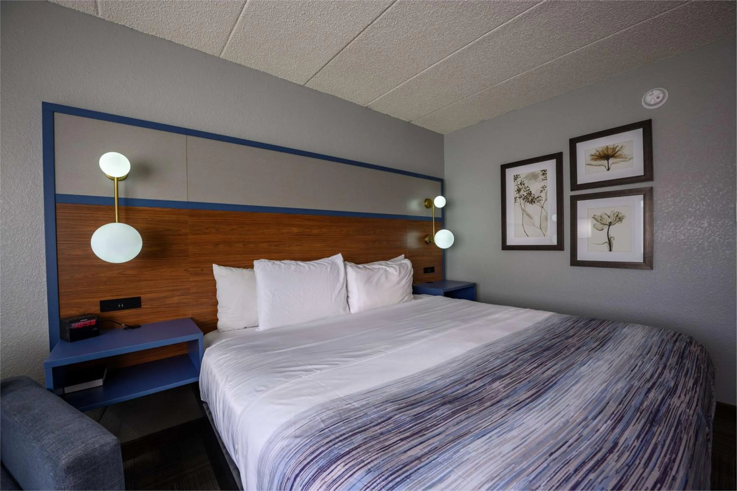 Photo of the whole room, Bed in AmericInn by Wyndham Monroe