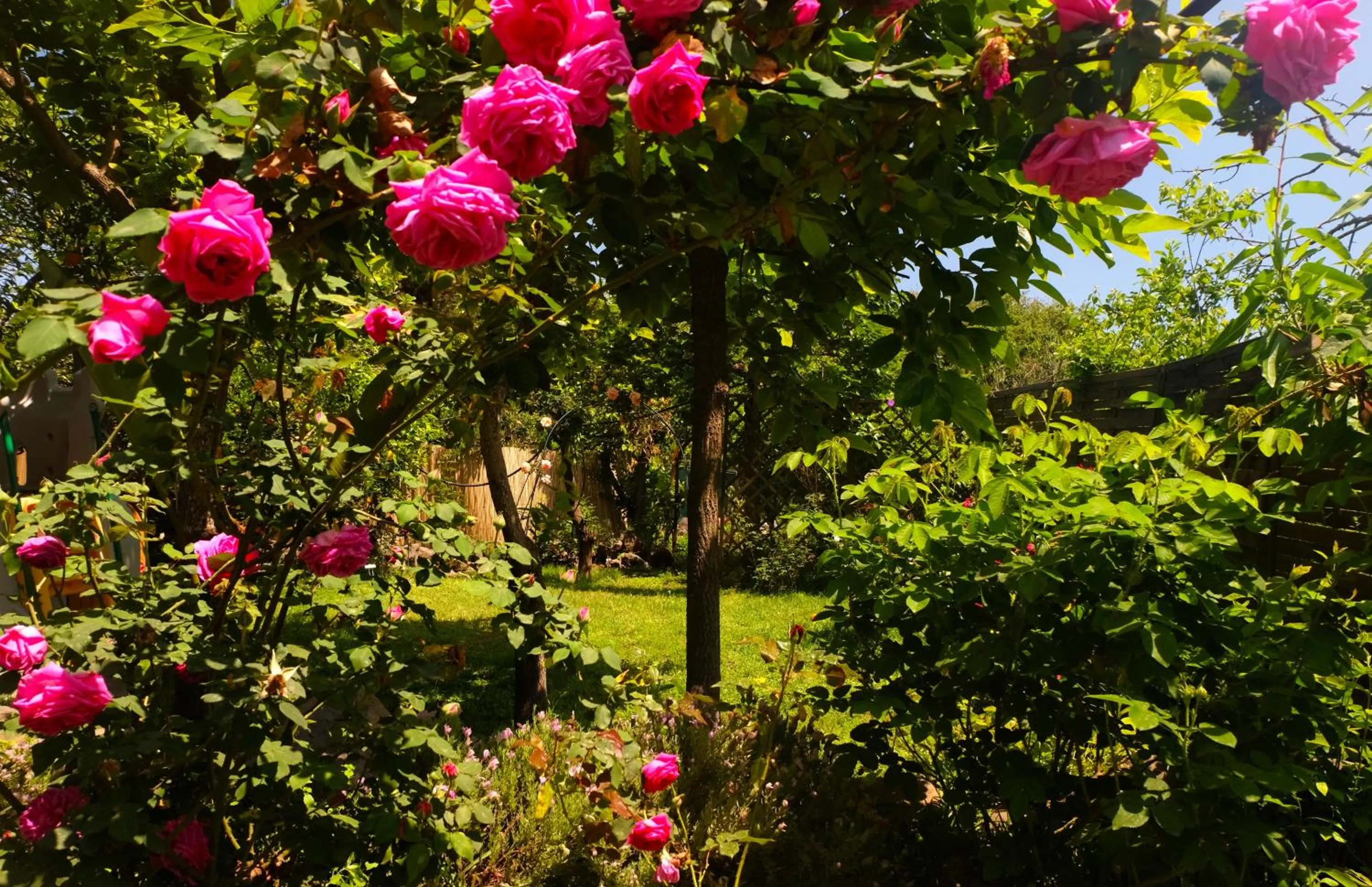 Garden view in B&B CasaNera