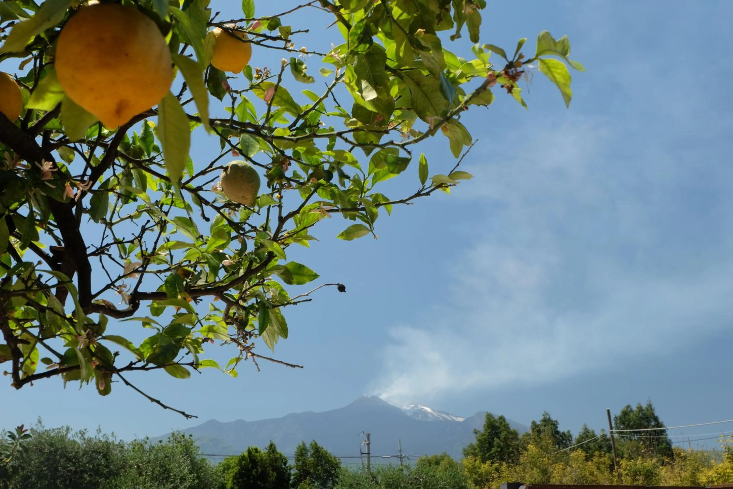 View (from property/room) in B&B CasaNera
