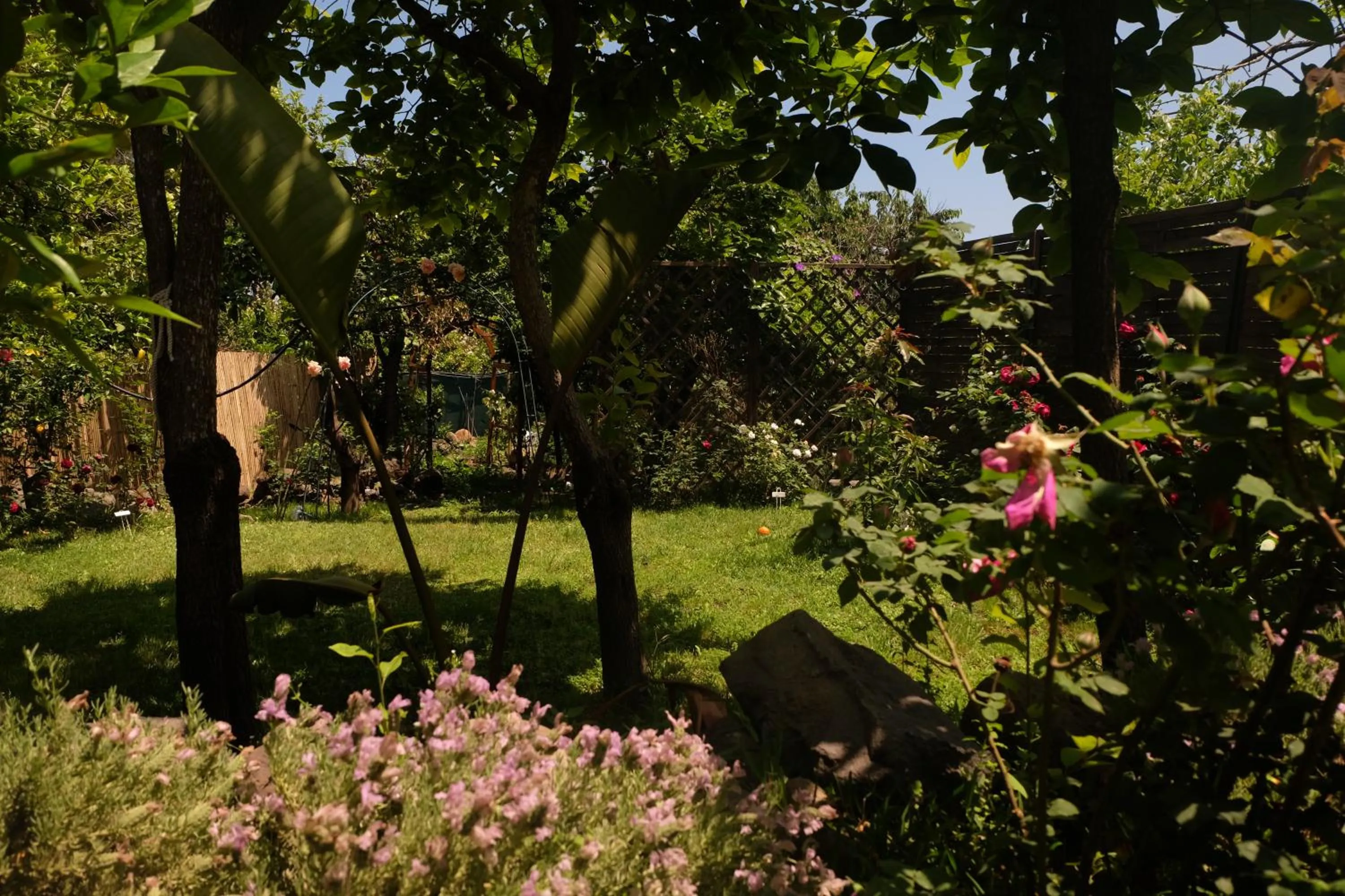 Garden in B&B CasaNera