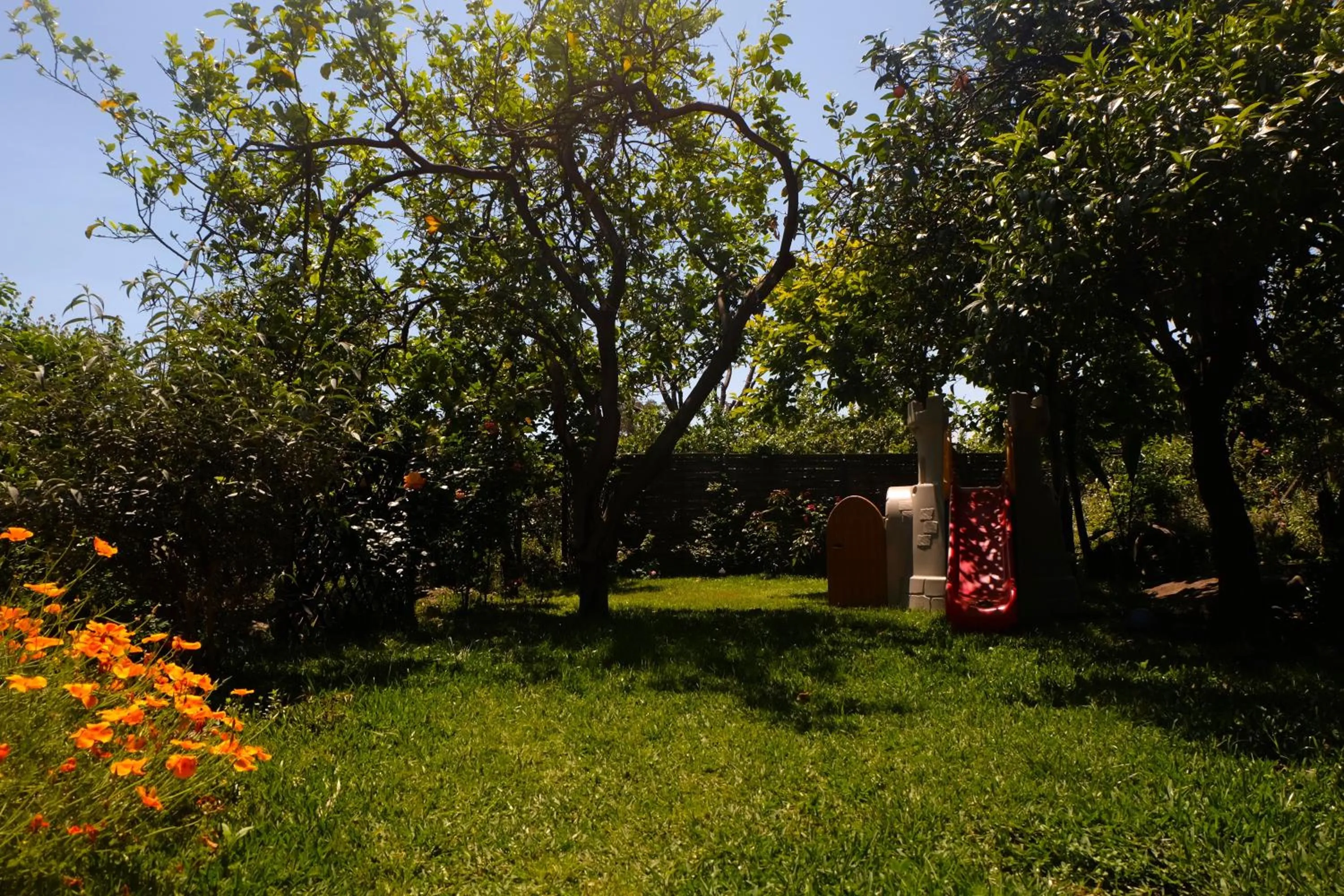 Garden view in B&B CasaNera