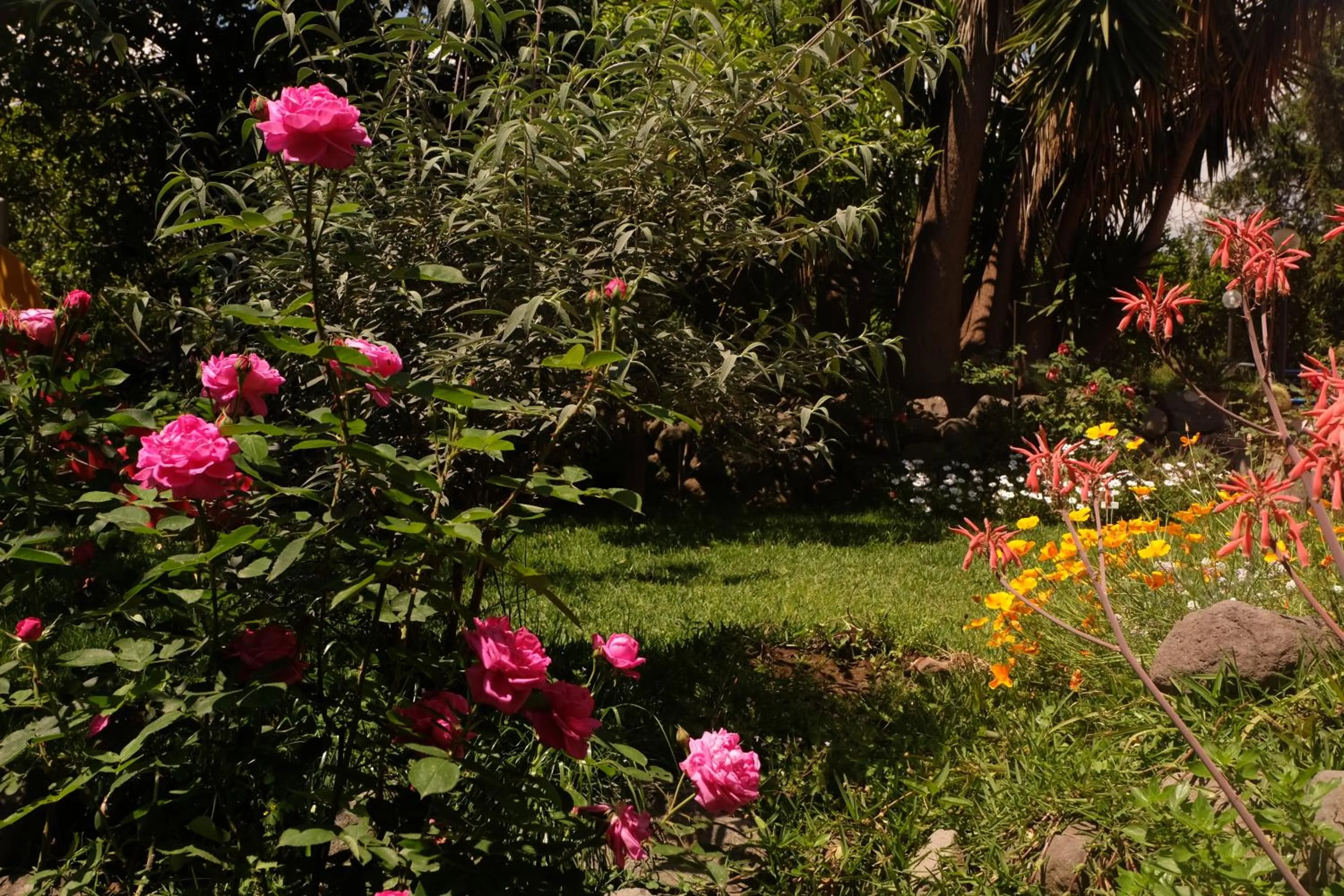 Garden in B&B CasaNera