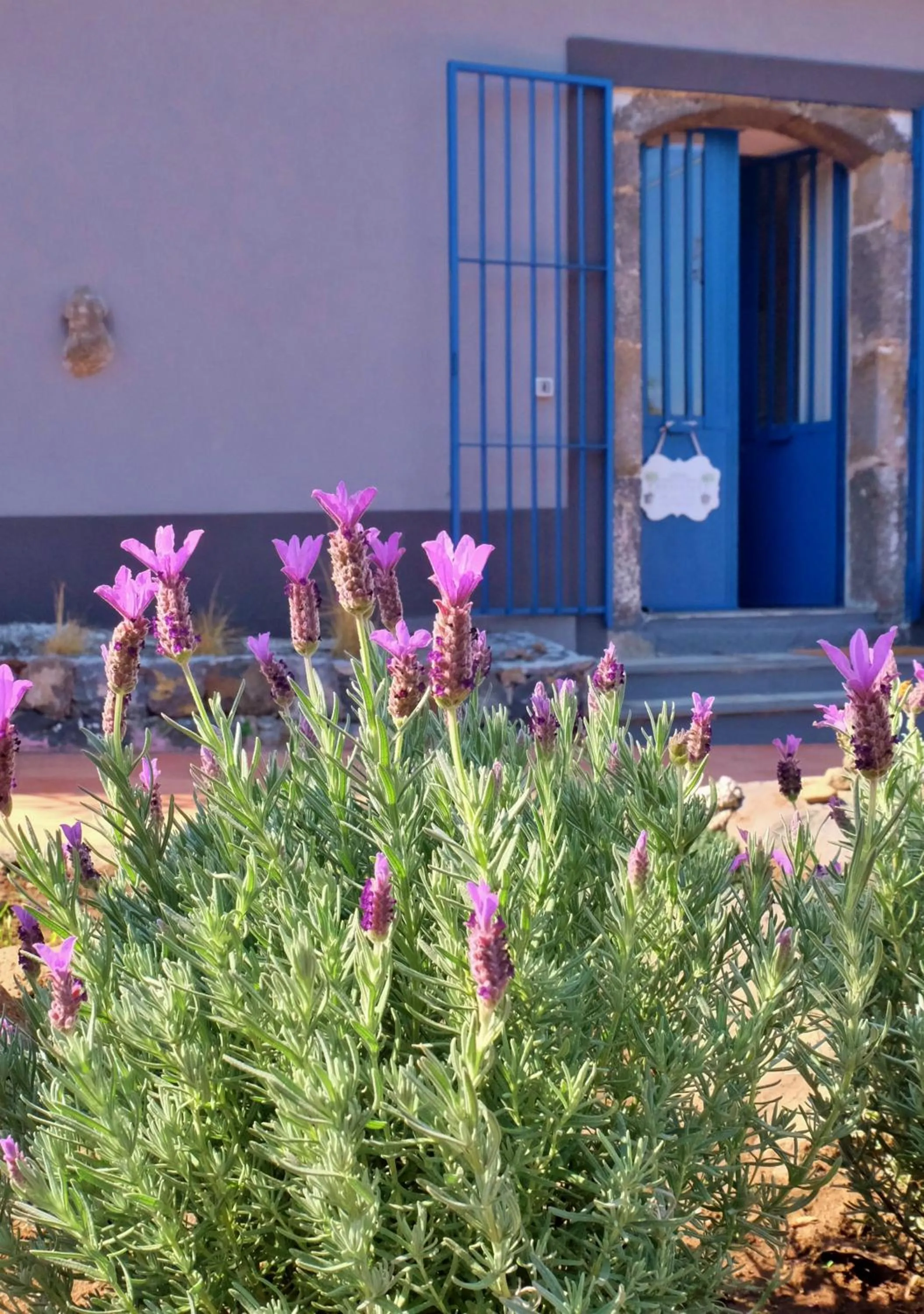 Garden in B&B CasaNera