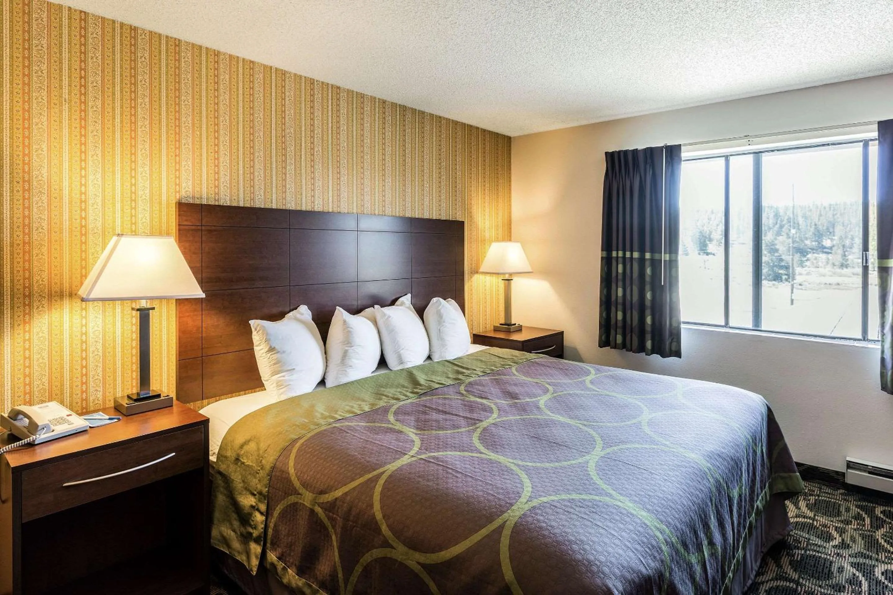Bedroom, Bed in Rodeway Inn Leadville