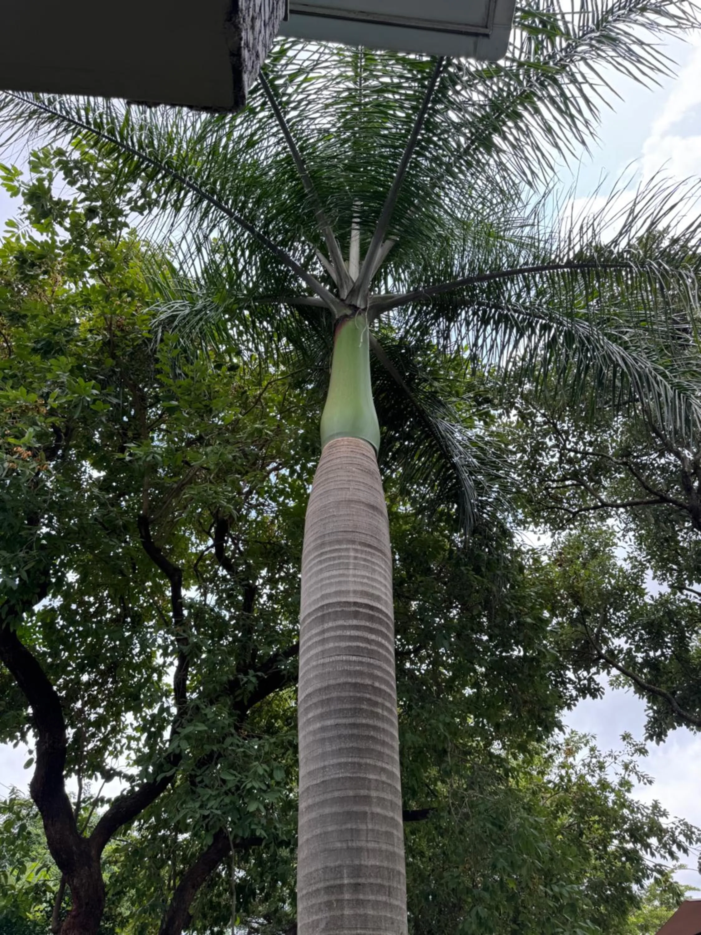 Natural landscape in Annavilla7 Lilongwe hotel