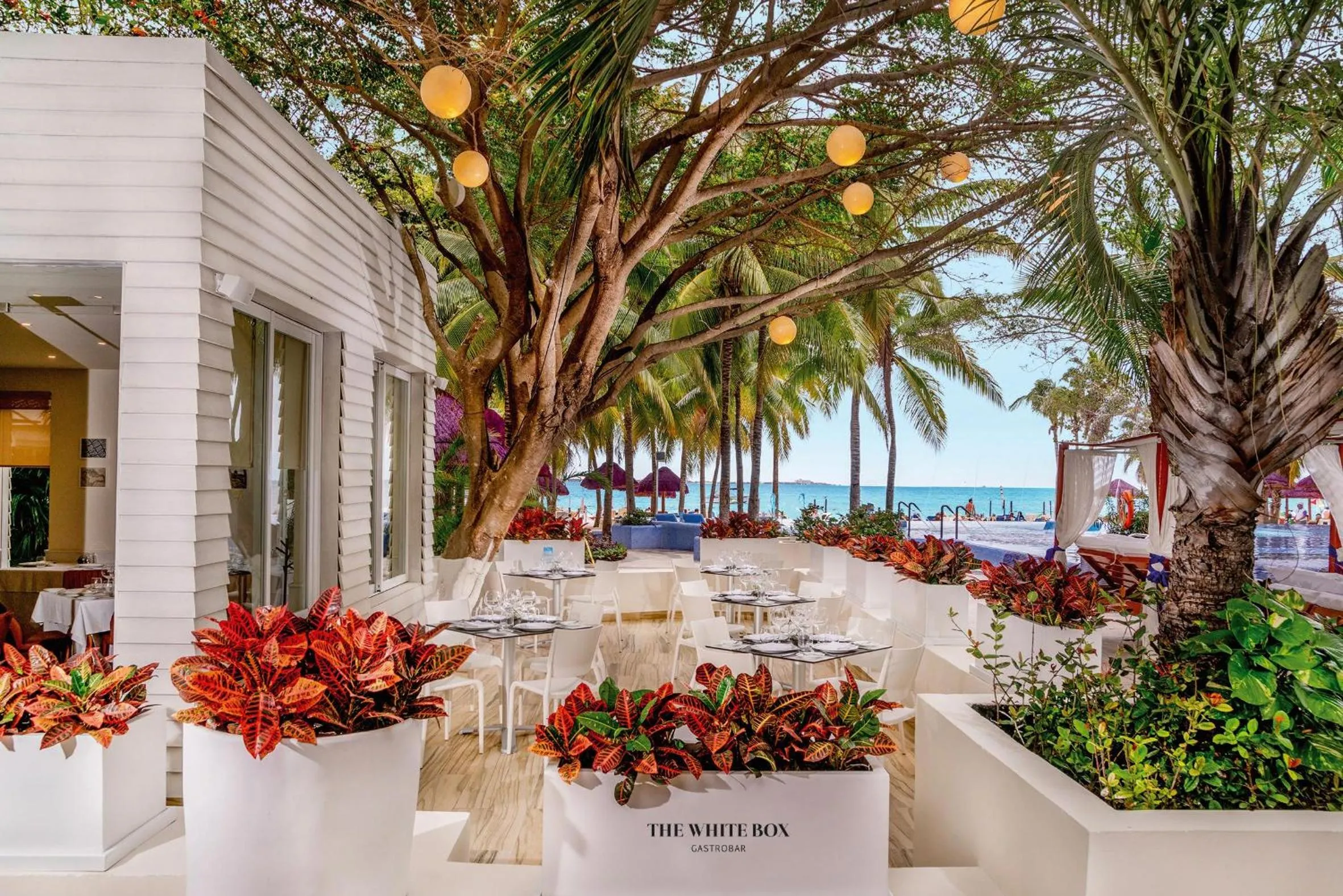 Restaurant/places to eat in The Sens Cancun by Oasis - All Inclusive