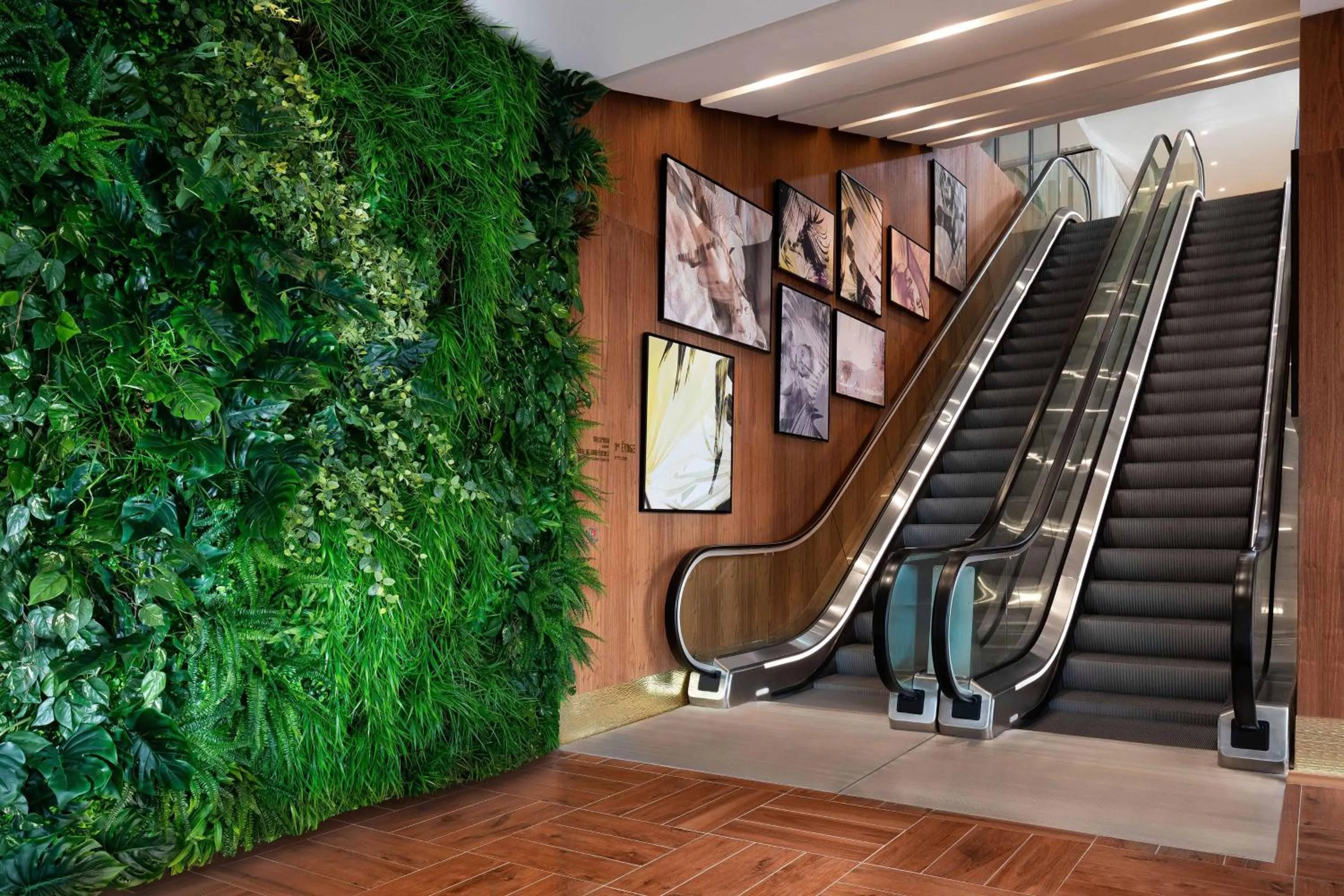 View (from property/room) in Le Meridien Nice