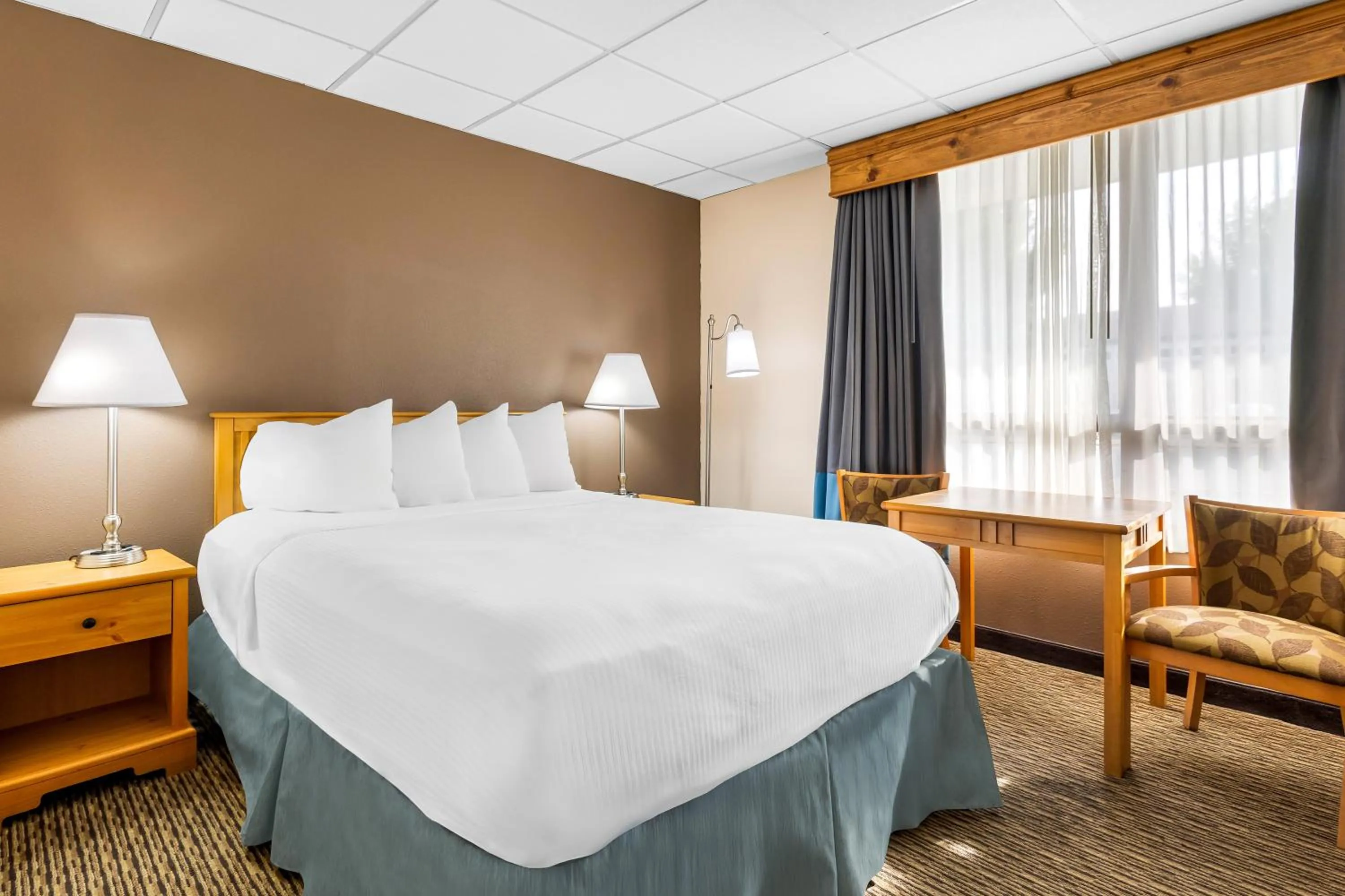 Bed in Best Western Lee's Motor Inn