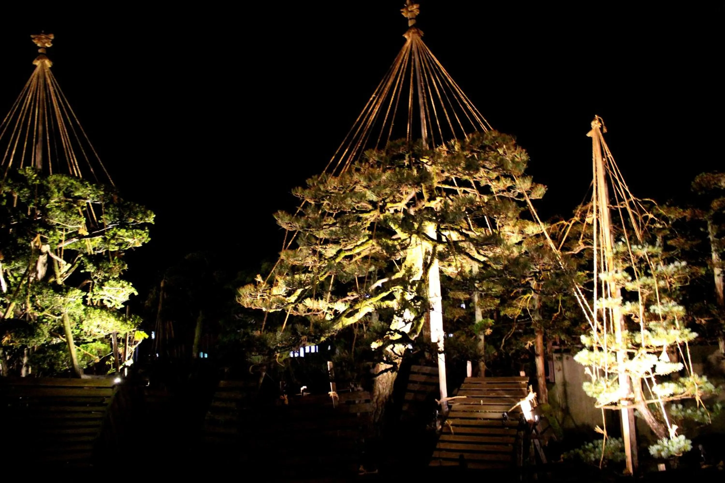 Historical Ryokan SENYUKAN