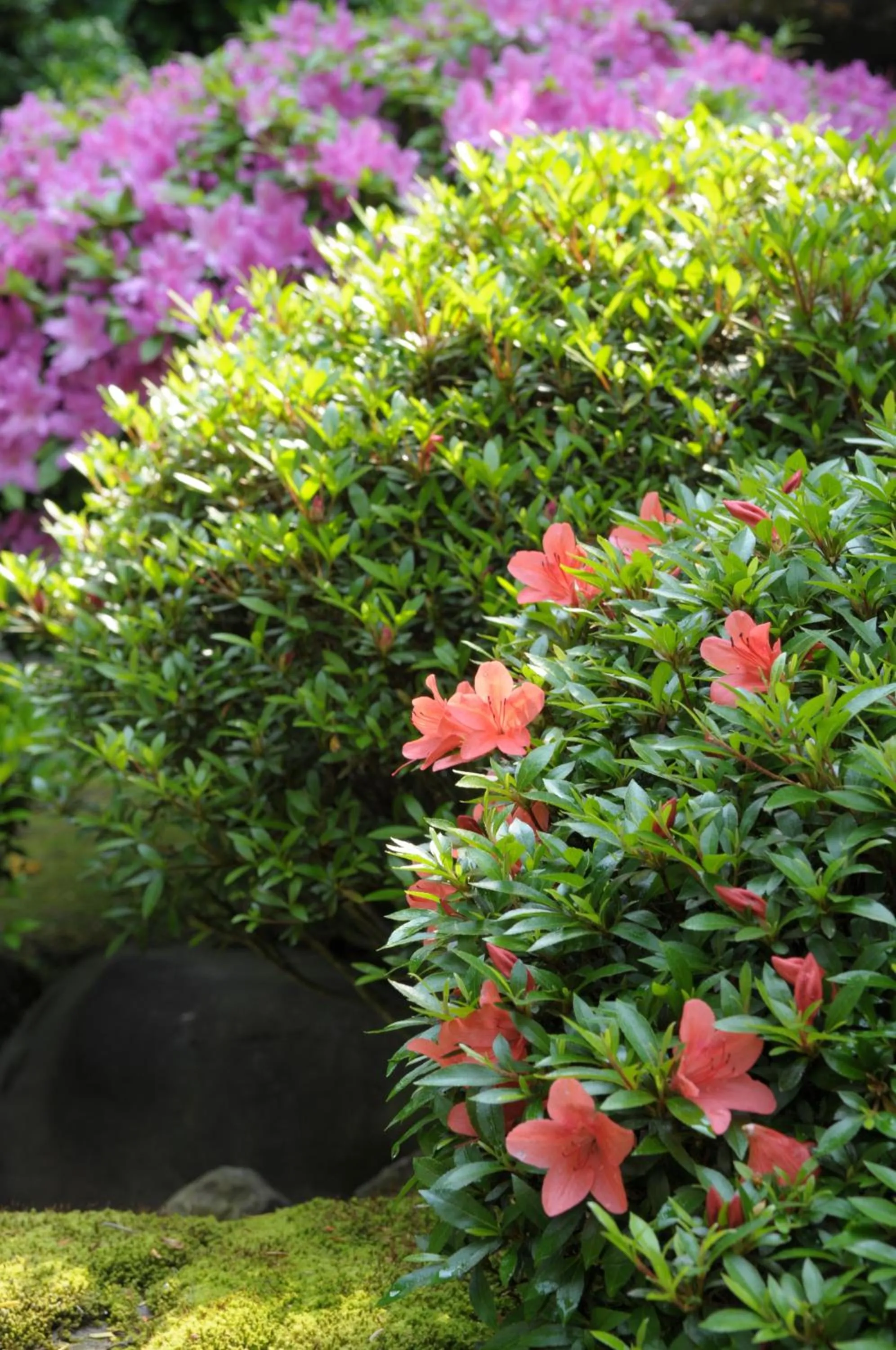 Historical Ryokan SENYUKAN