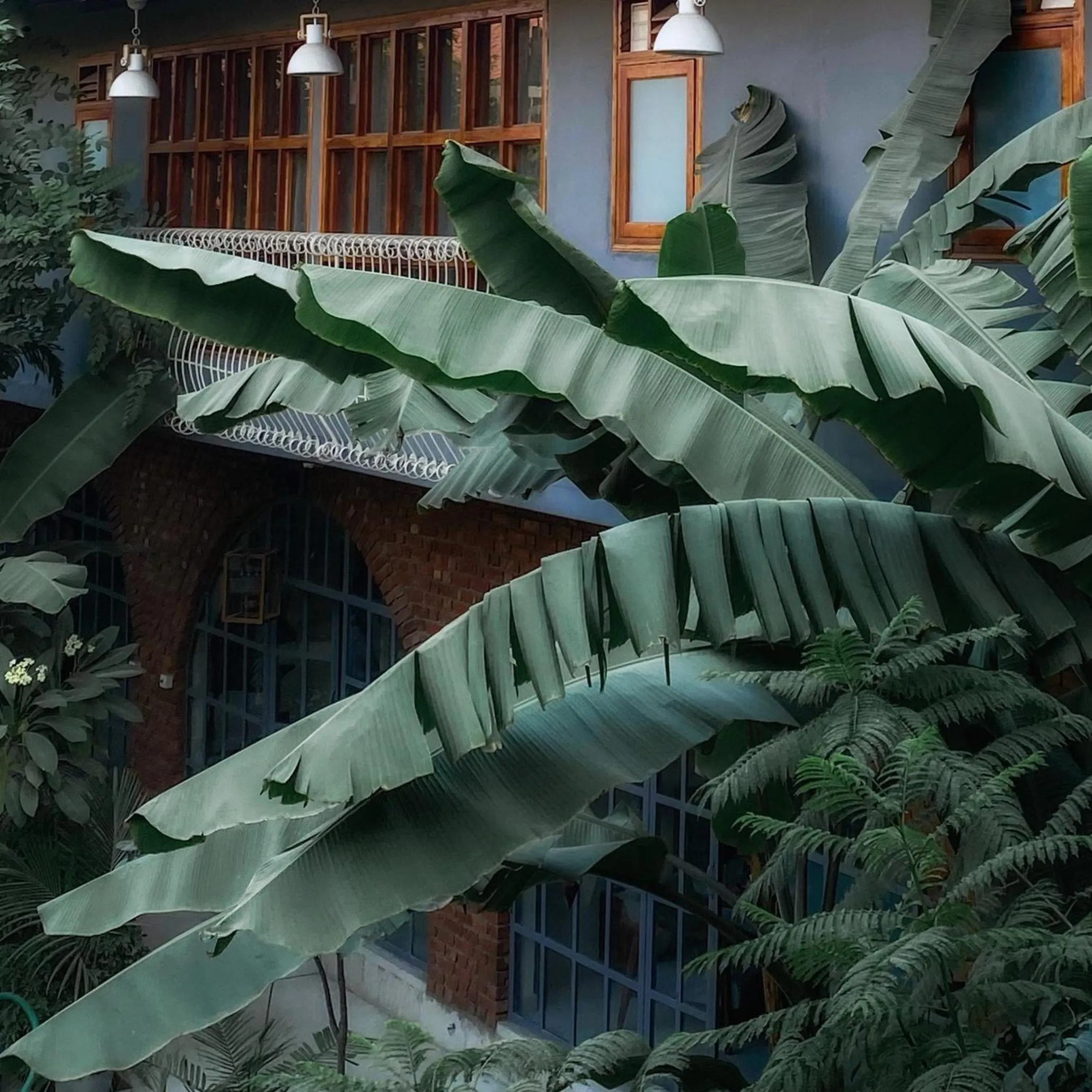 The Artist House Udaipur