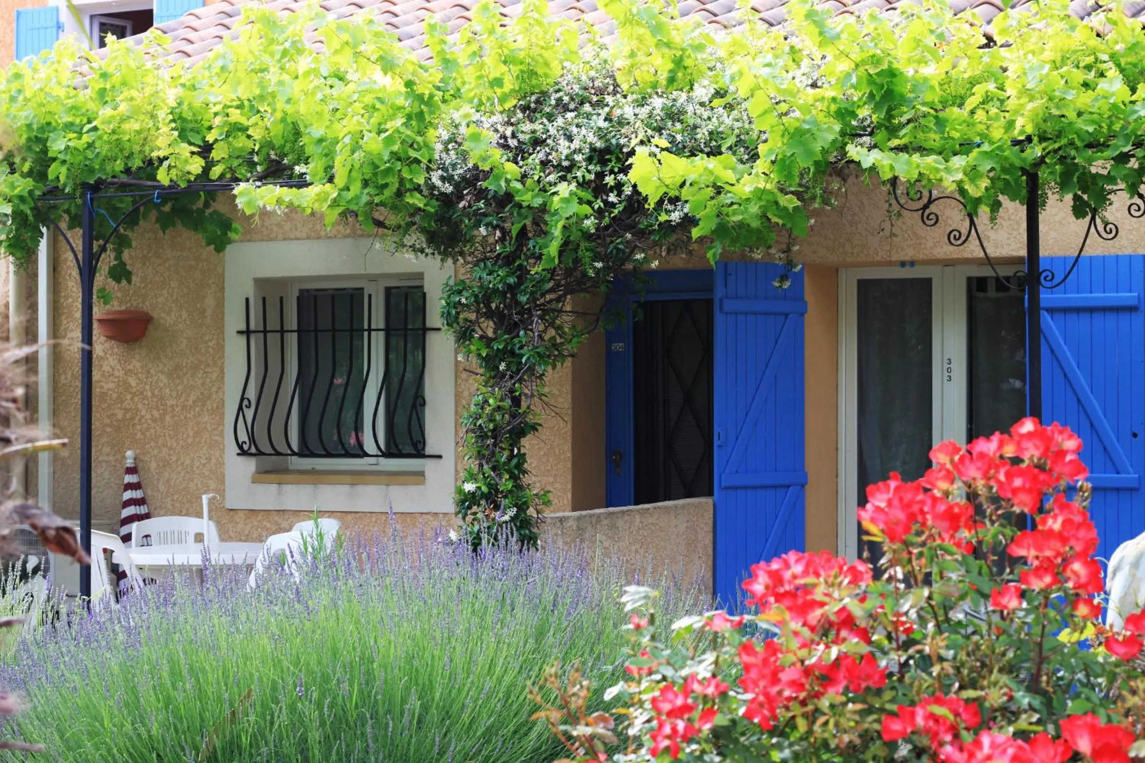 Garden in Appart'Hotel Festival Sud Suites - Avignon TGV
