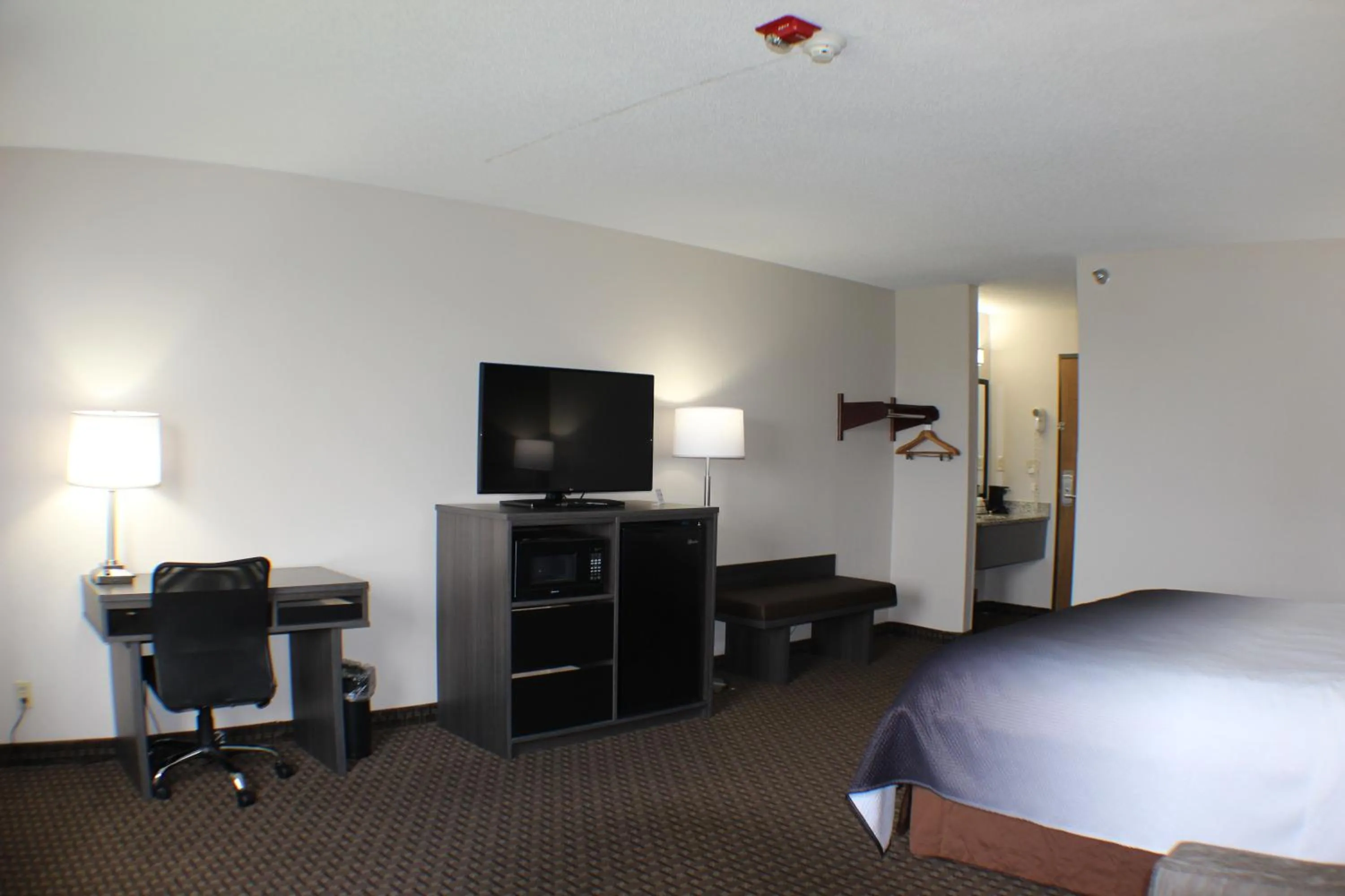 TV and multimedia, Bed in Super 8 by Wyndham Gardner