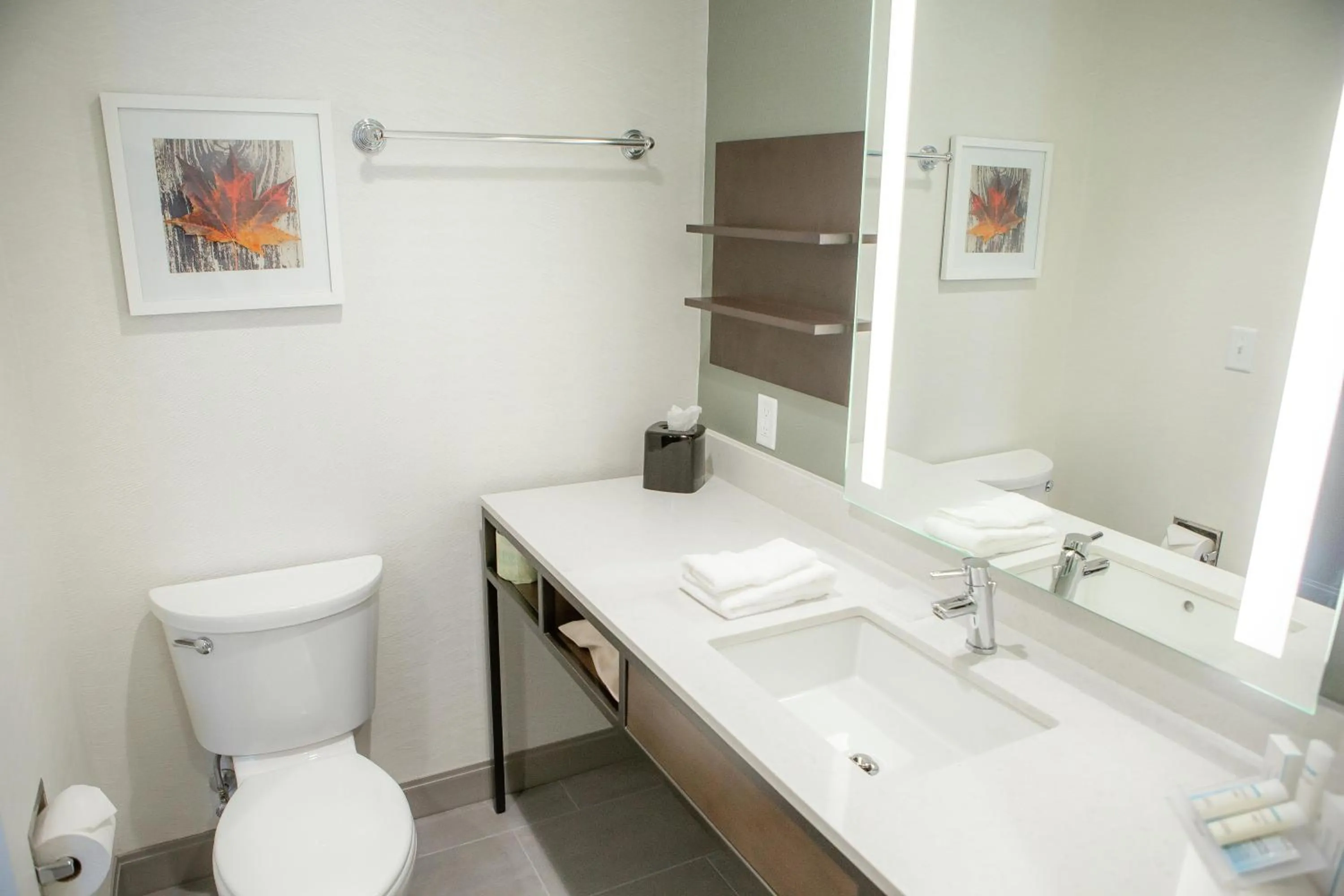 Bathroom in Hilton Garden Inn Corning Downtown