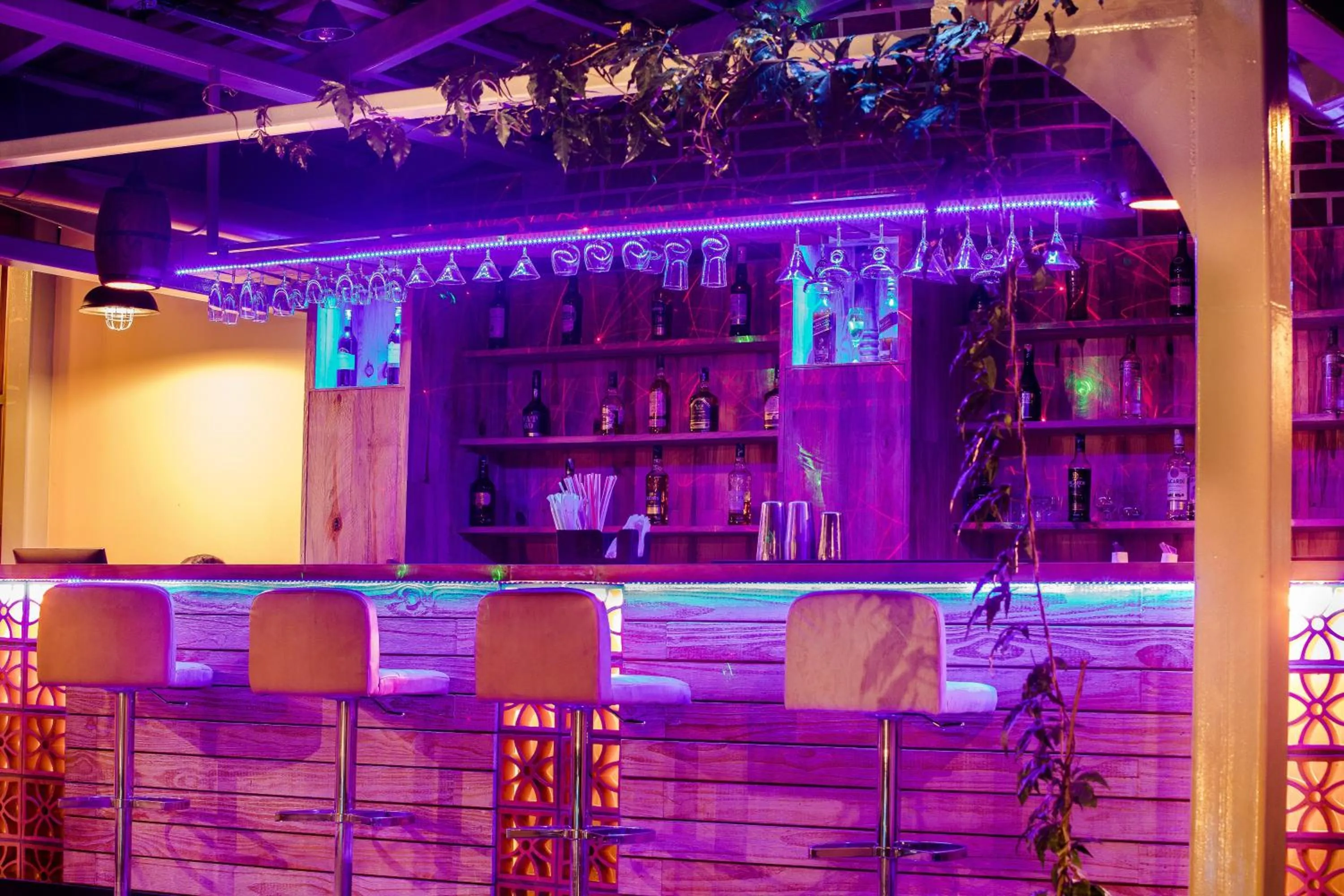 Lounge or bar in Hotel RK Gardenia