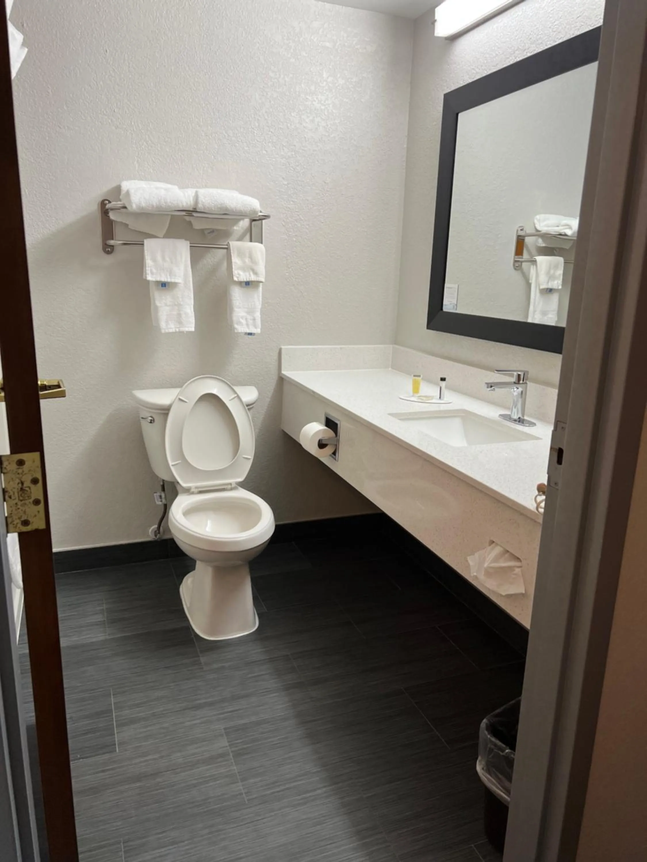 Toilet in Super 8 by Wyndham Clemmons - Bermuda Run - Winston-Salem I-40