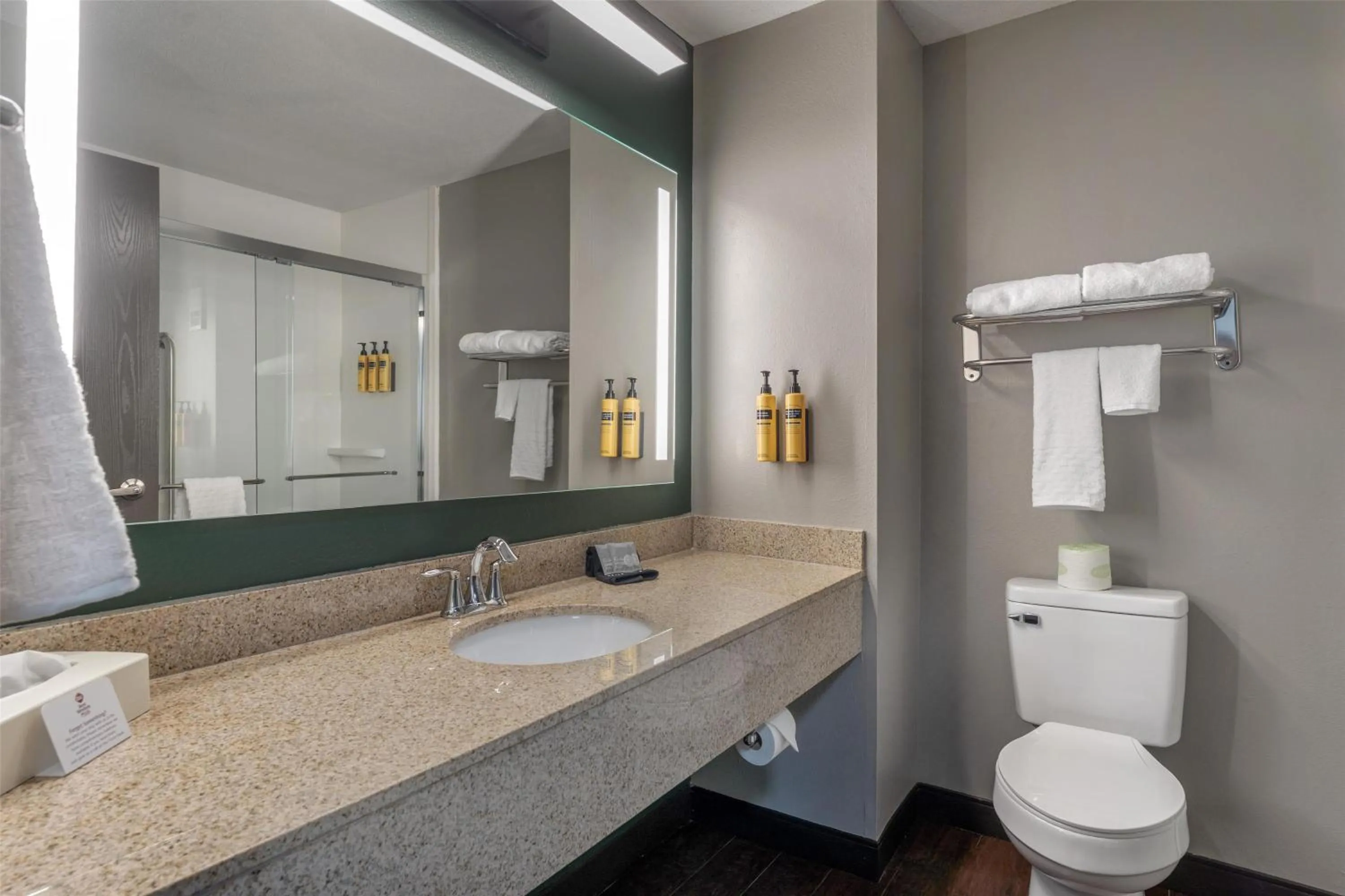 Bathroom in Best Western PLUS Executive Inn