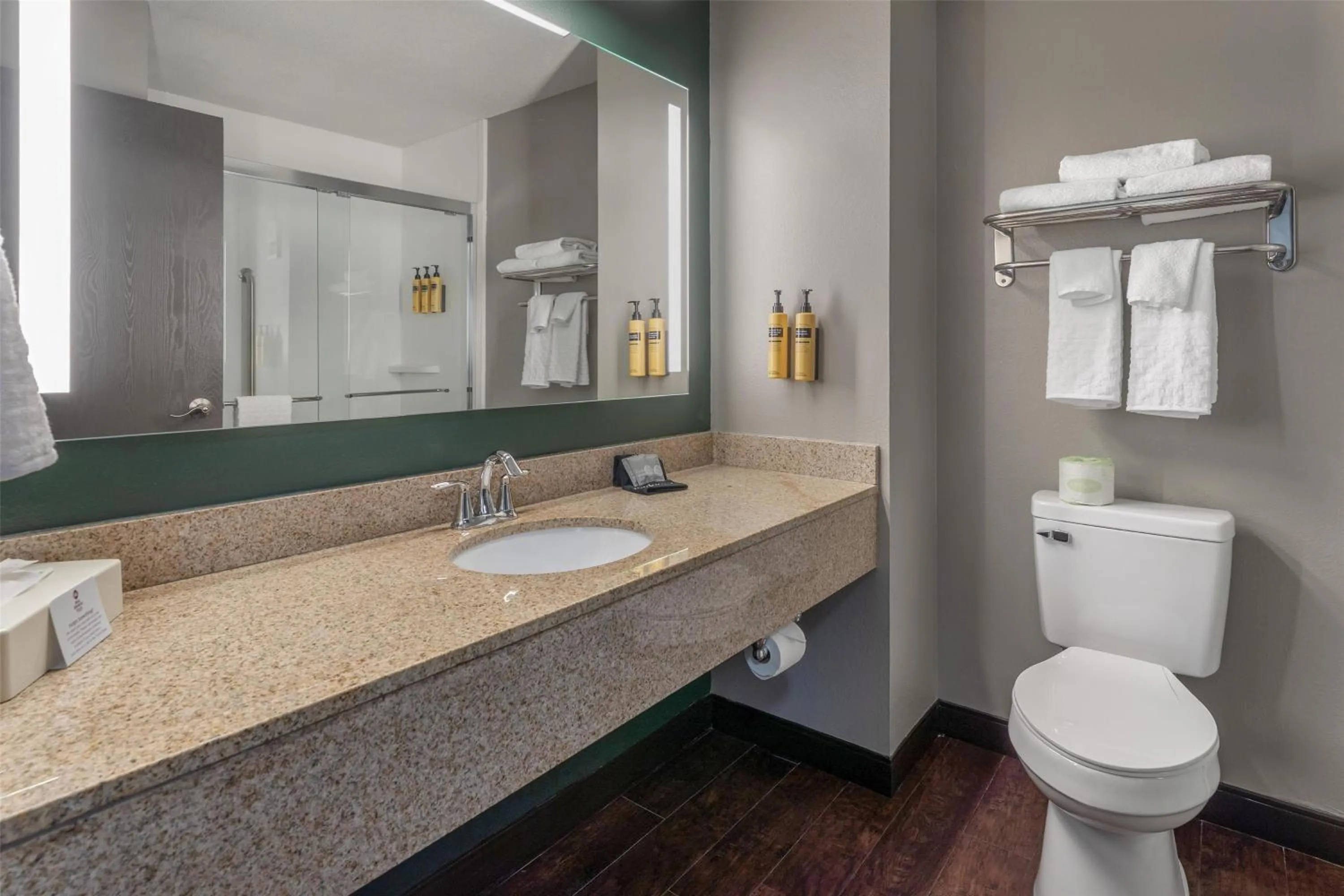 Bathroom in Best Western PLUS Executive Inn