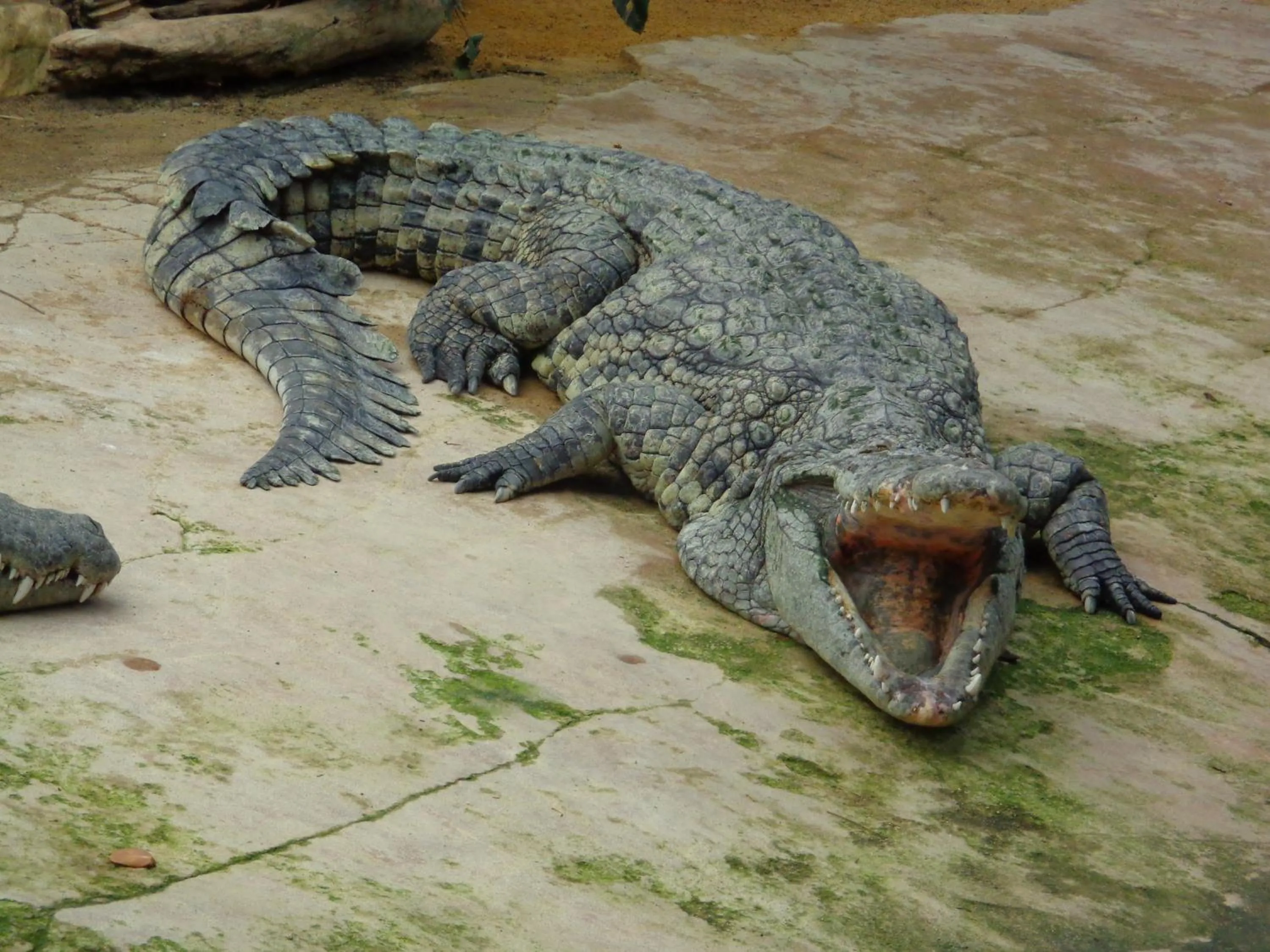 Area and facilities in Hotel du Centre