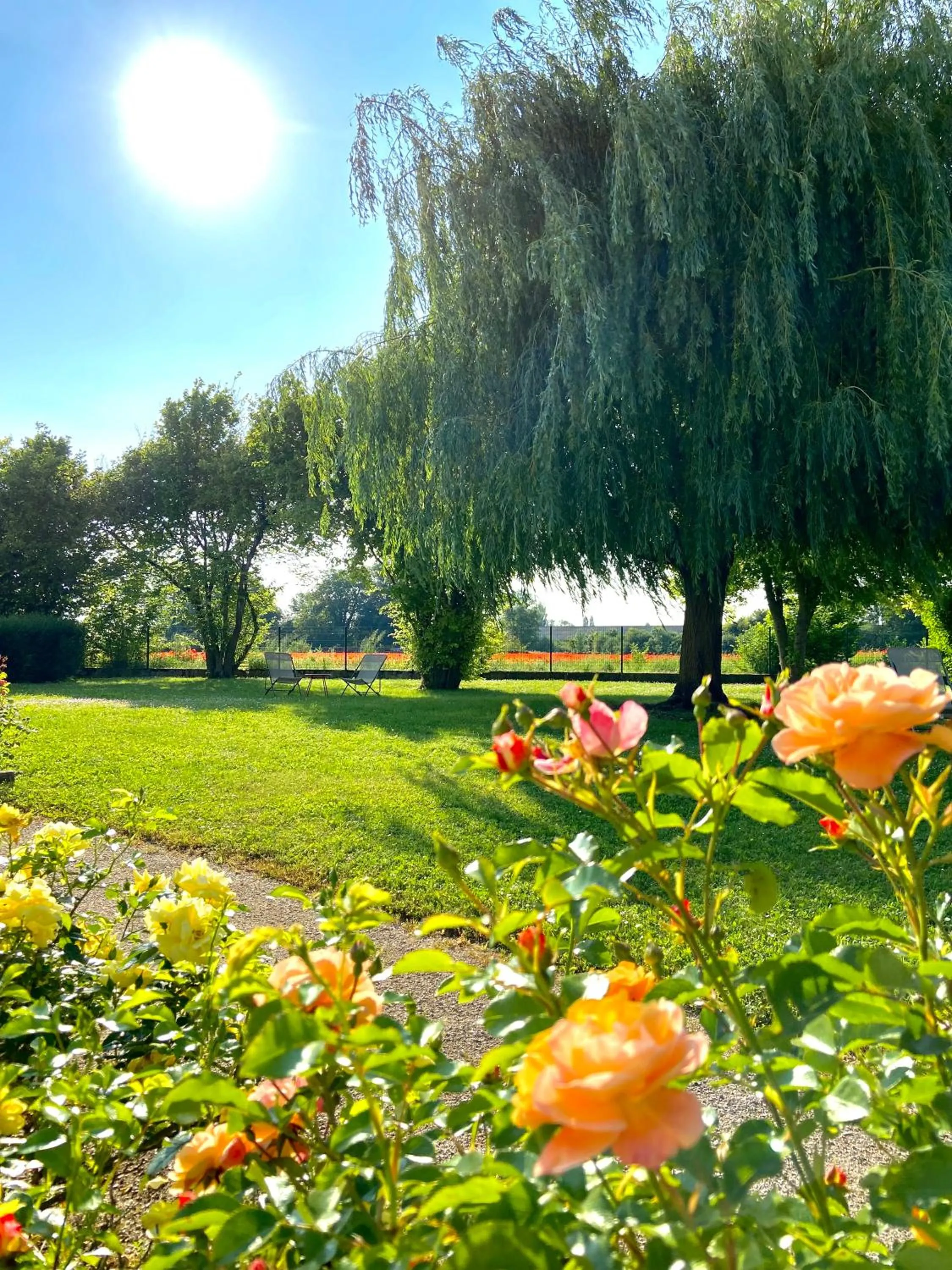 Garden view in Hotel l'Orée Des Vignes