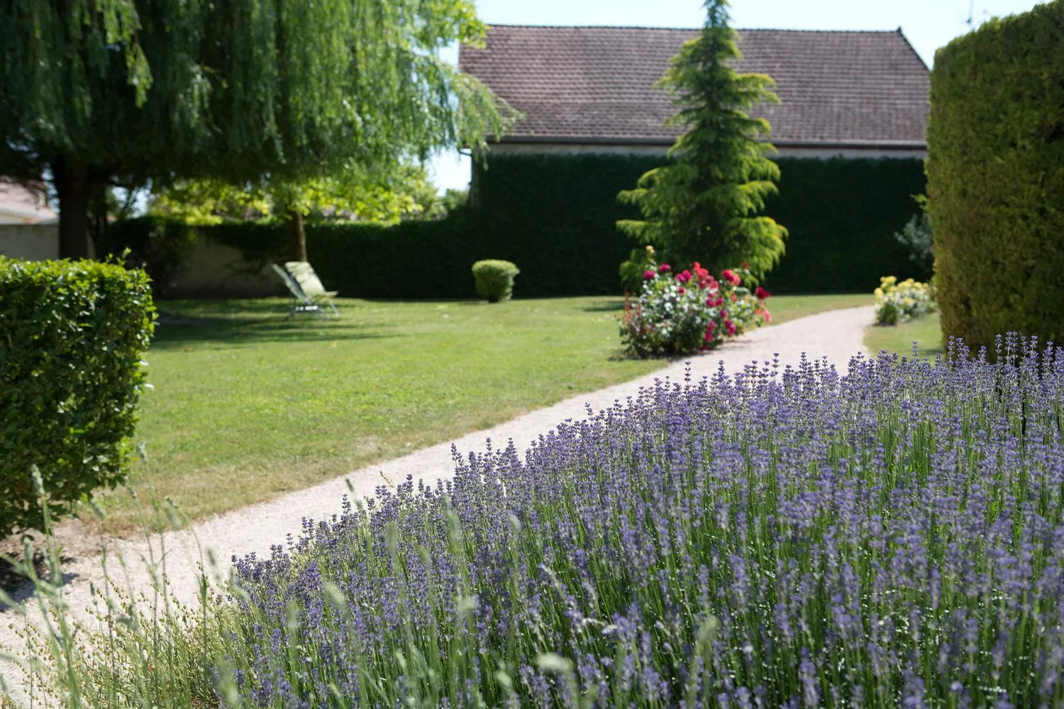 Garden in Hotel l'Orée Des Vignes