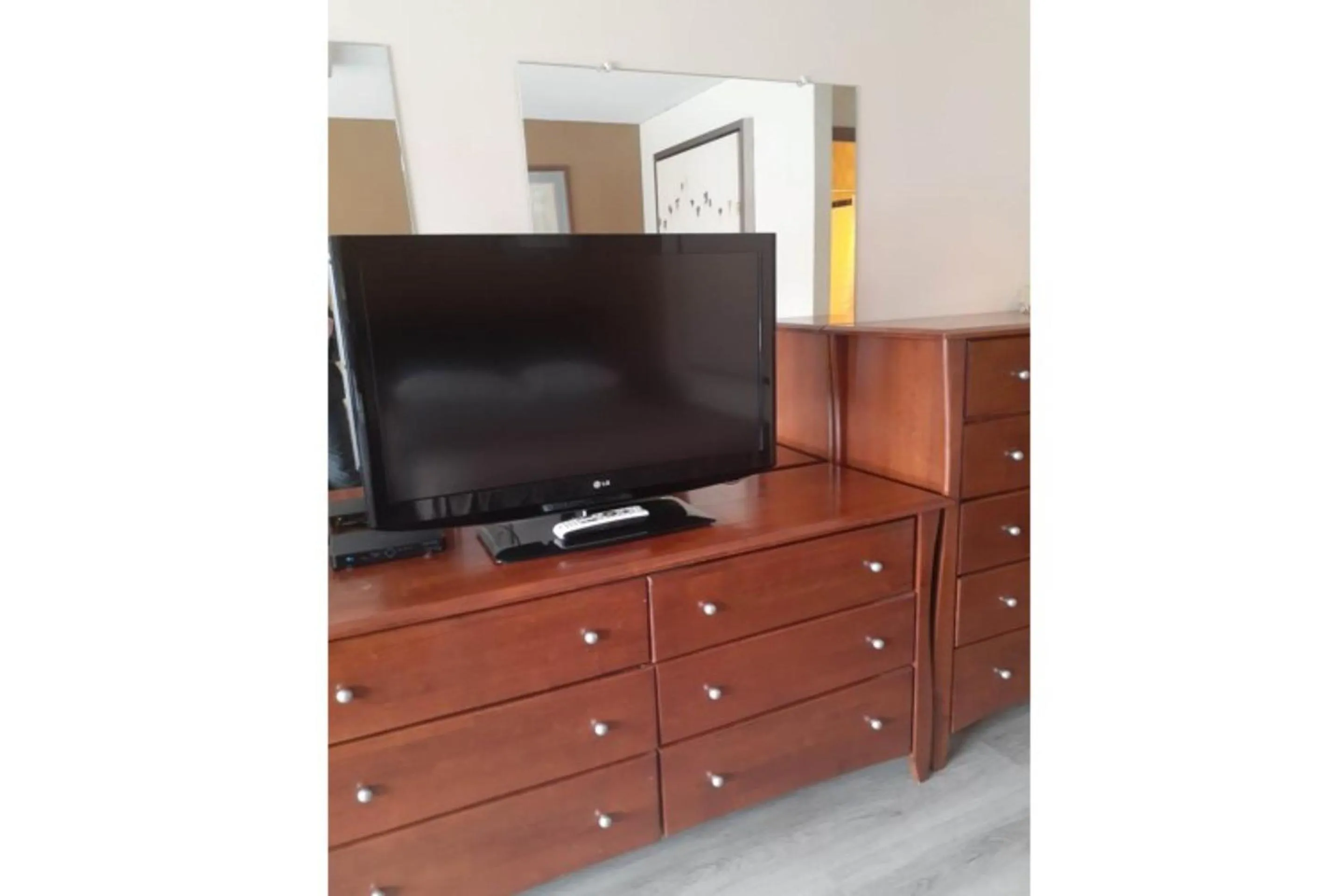 TV and multimedia in Holiday Lodge Virginia -Listing Partner