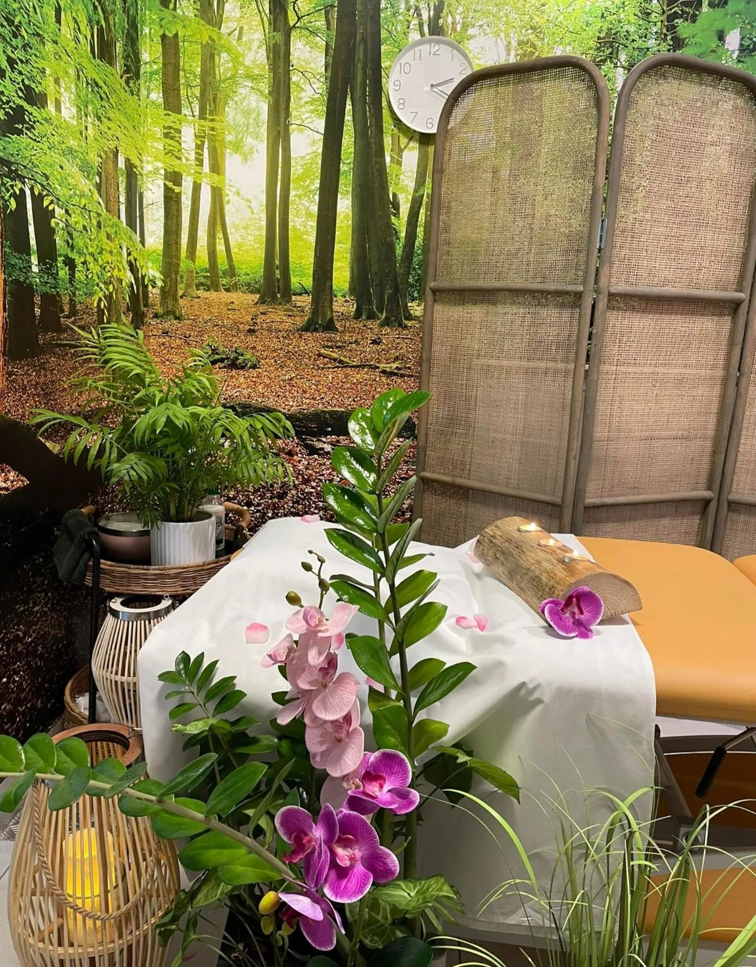 Spa and wellness centre/facilities in Willa Rustykalna