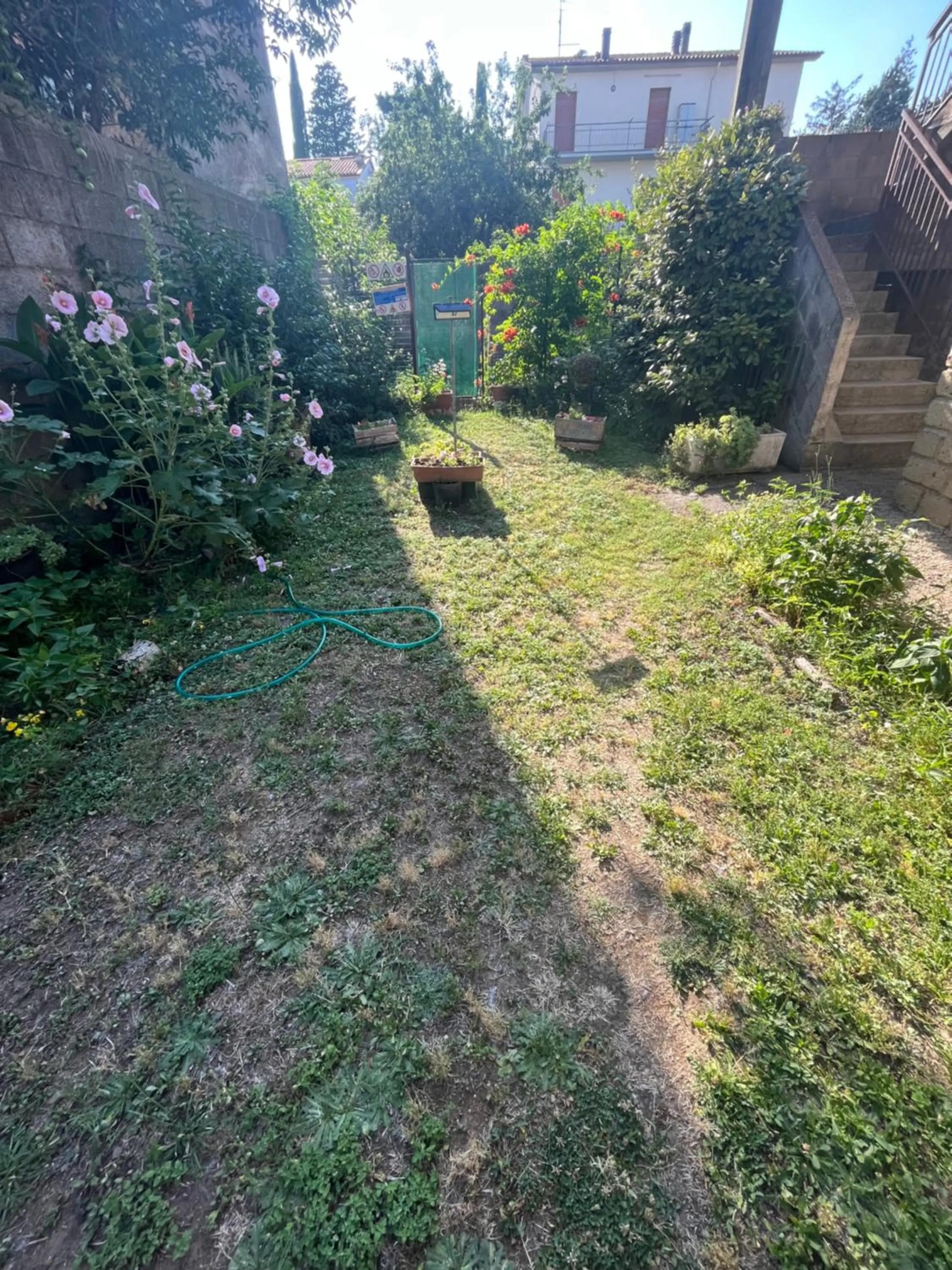 Garden view in B&B SAN FRANCESCO