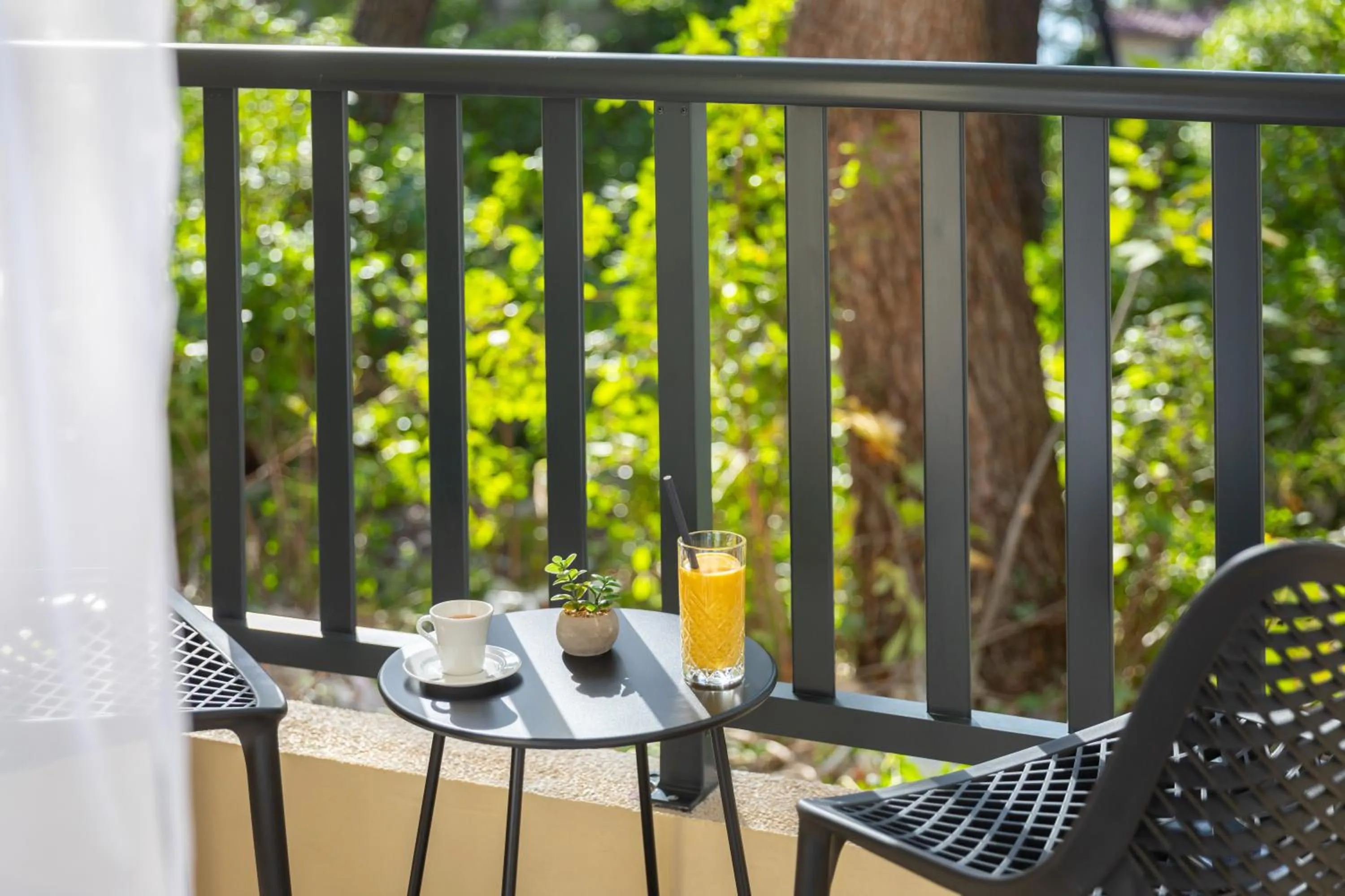 Day in Hotel Alemaris