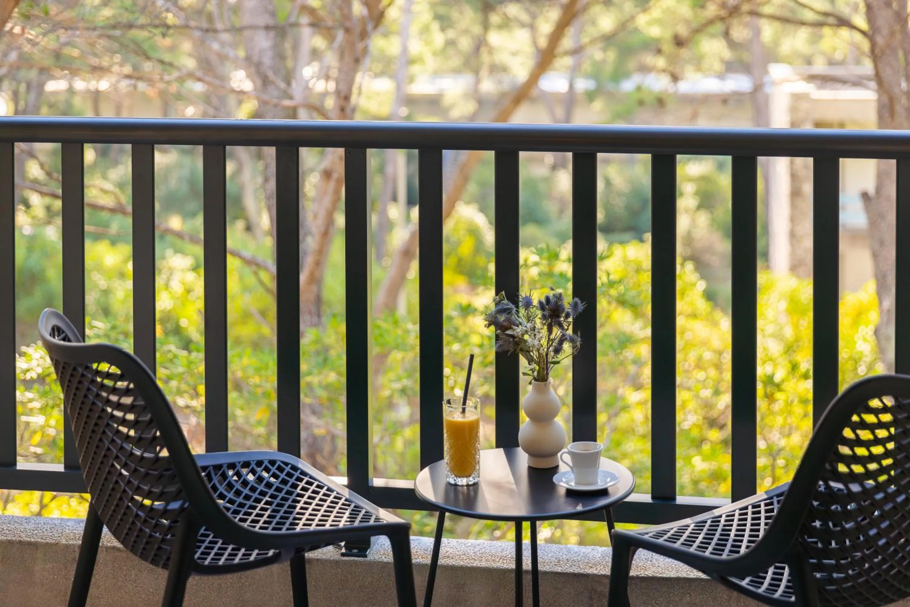 Day in Hotel Alemaris