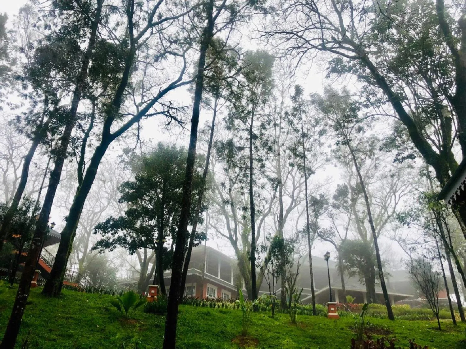 View (from property/room) in Coorg Wilderness Resort & Spa