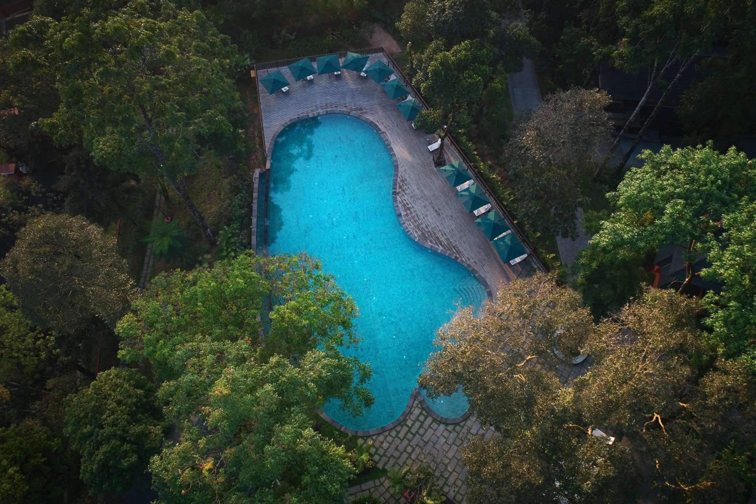 Swimming pool in Coorg Wilderness Resort & Spa