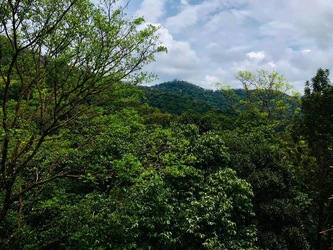 Mountain view in Coorg Wilderness Resort & Spa