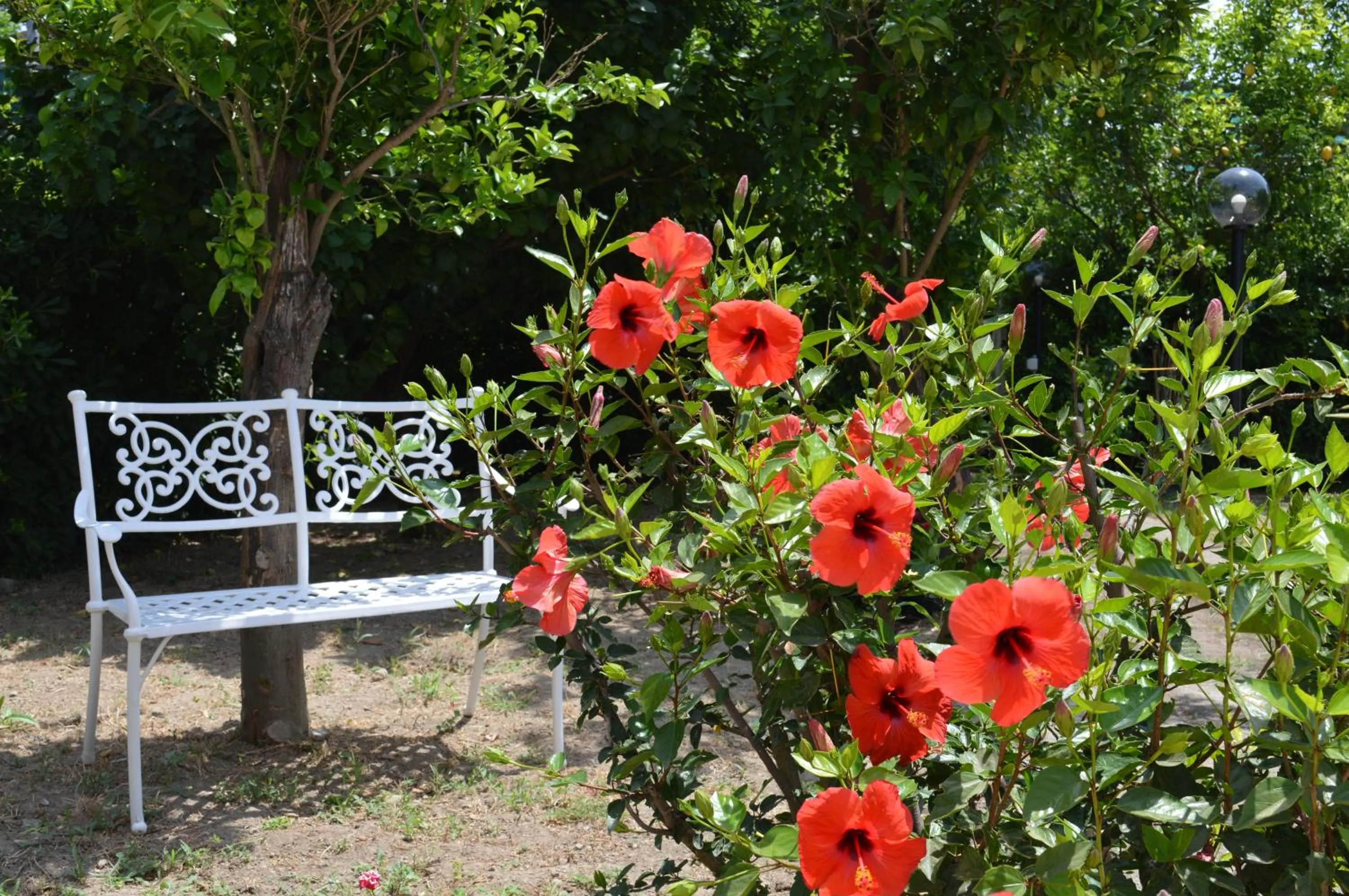 Garden in Baia della Serenità