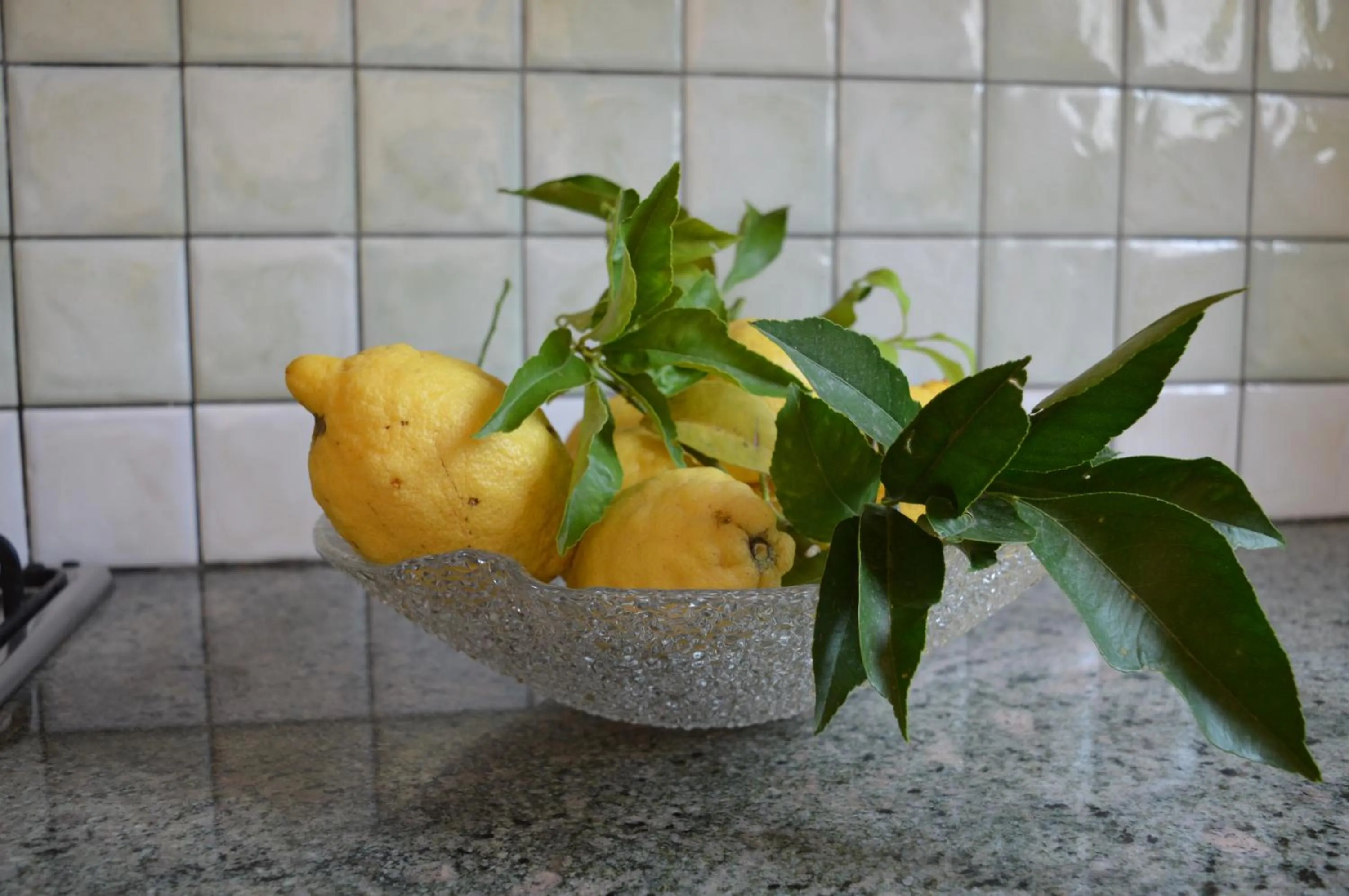 Decorative detail in Baia della Serenità