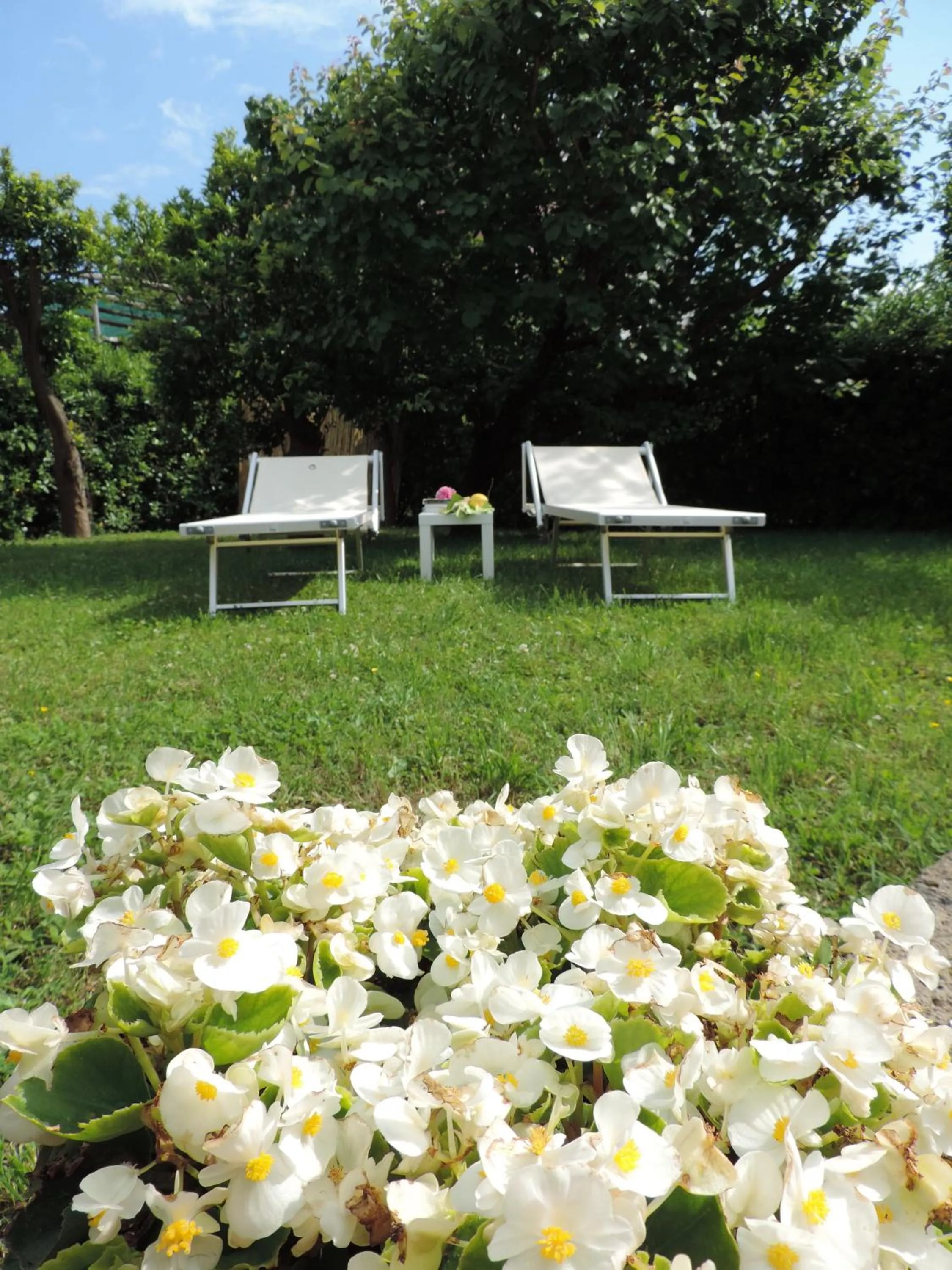 Garden in Baia della Serenità