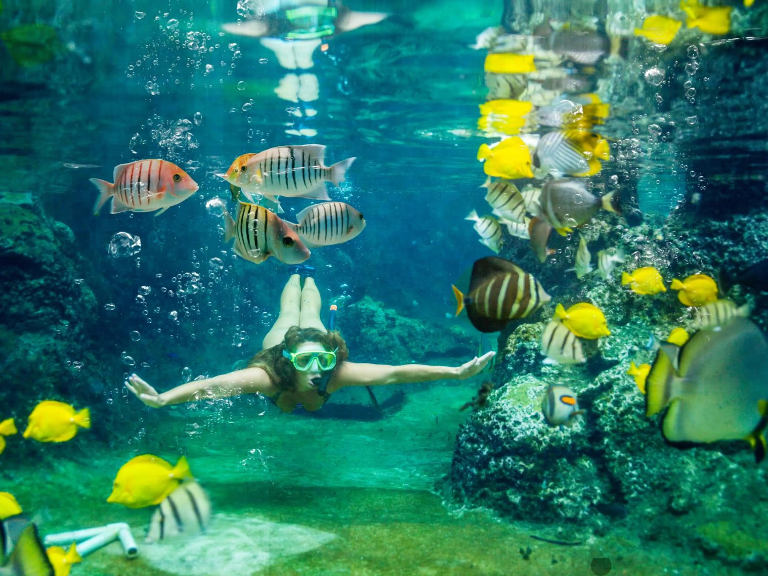 Activities in Pacific Islands Club Guam