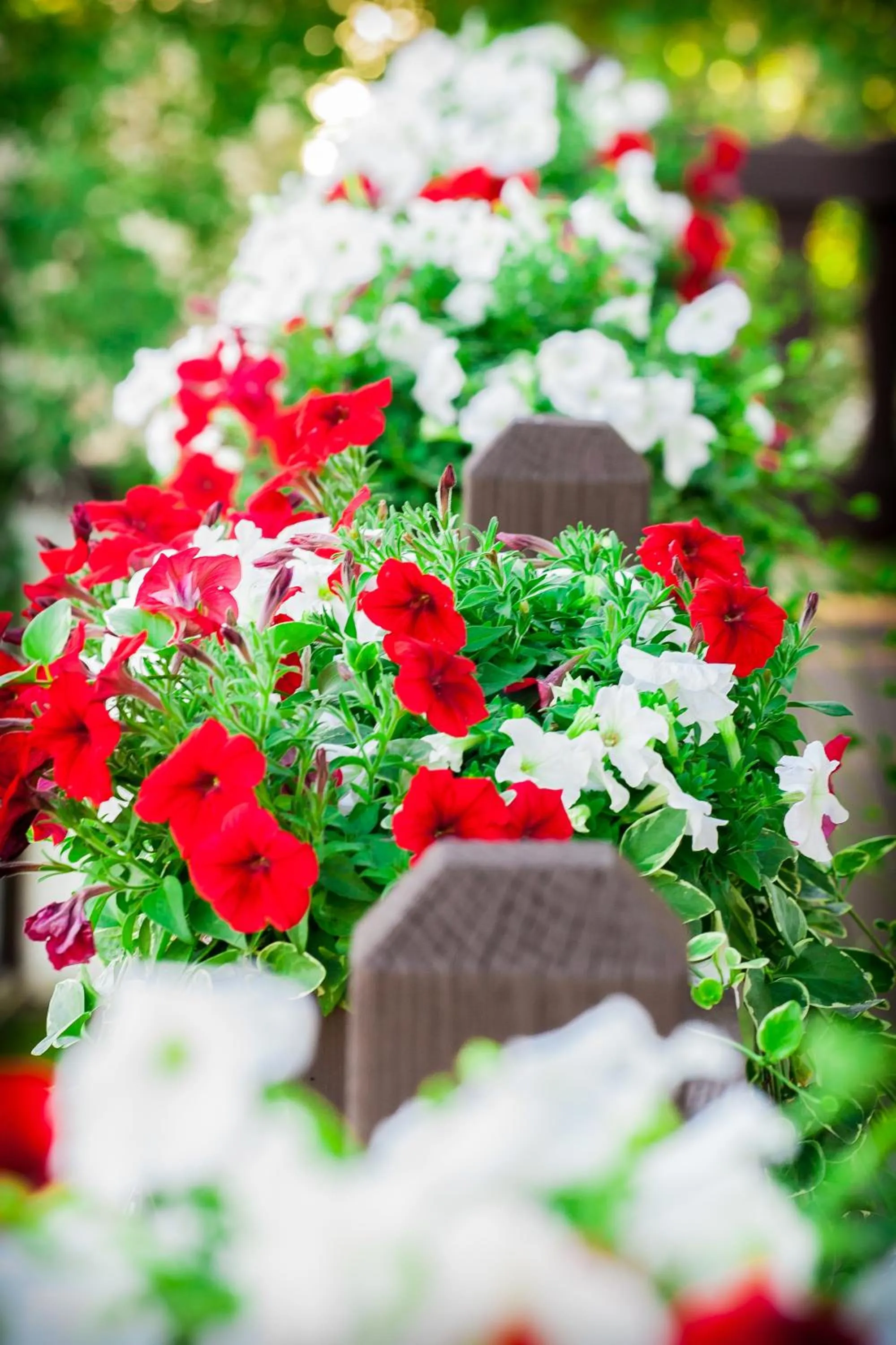 Garden in Bavarian Inn, Black Hills