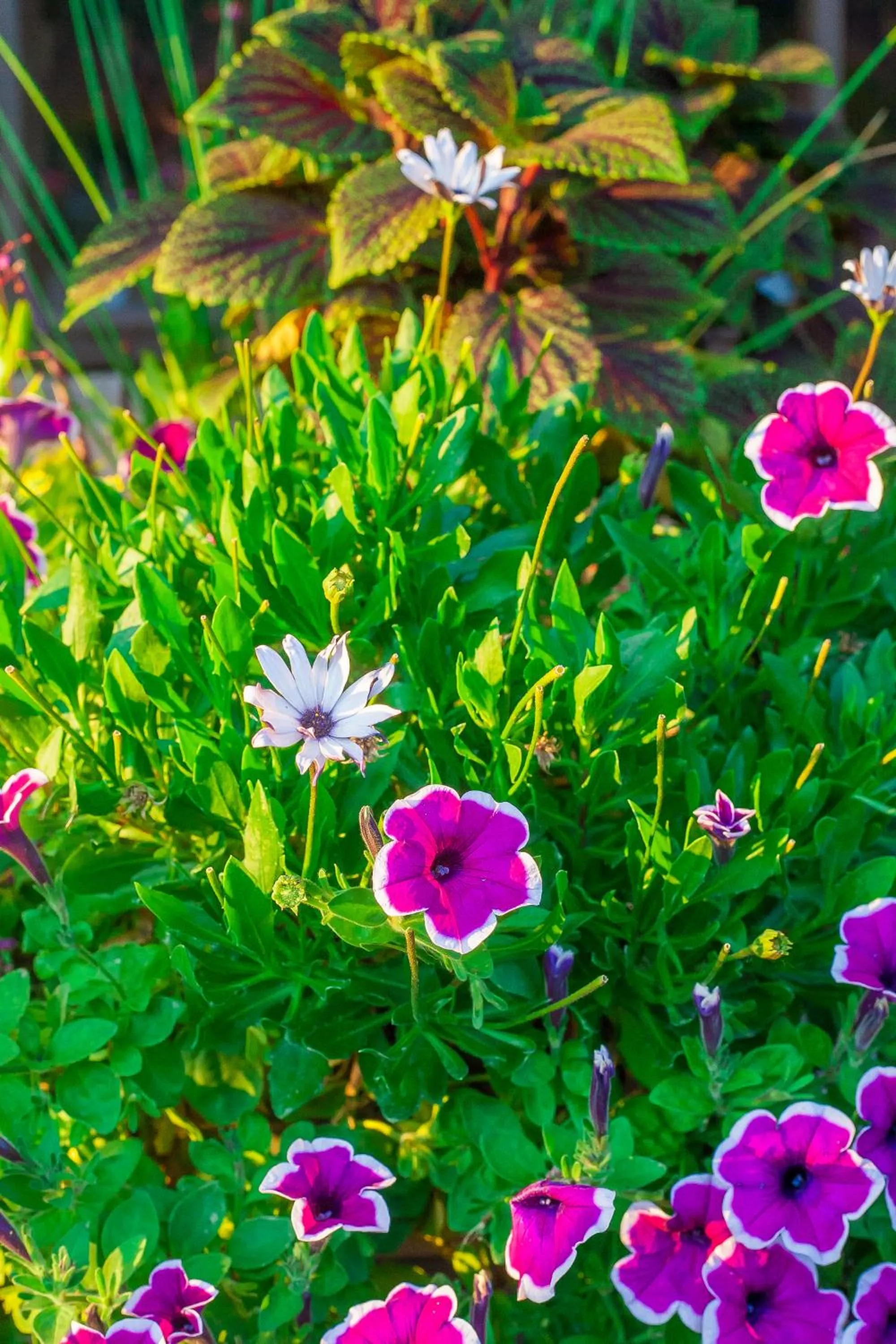 Decorative detail in Bavarian Inn, Black Hills