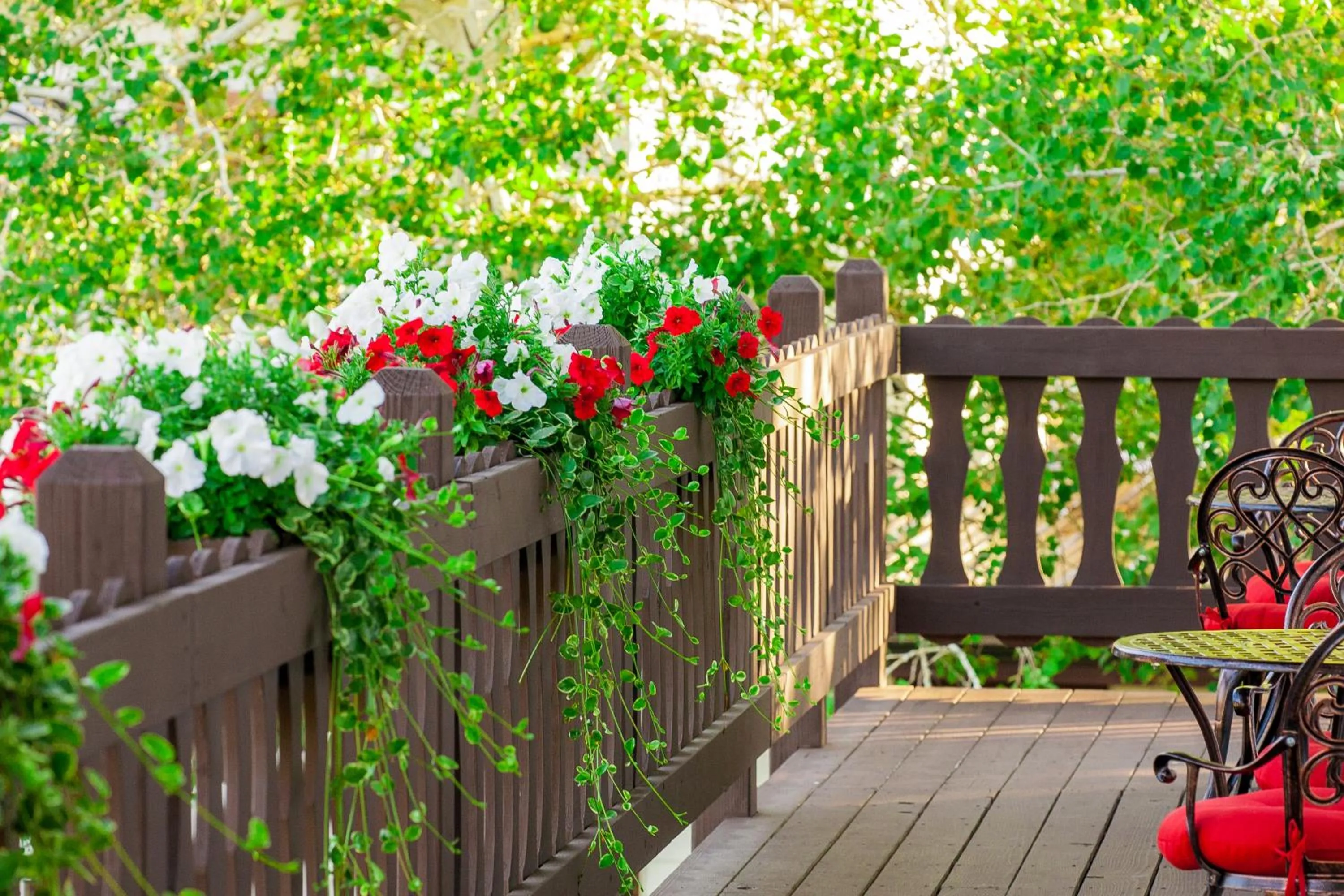 Balcony/Terrace in Bavarian Inn, Black Hills