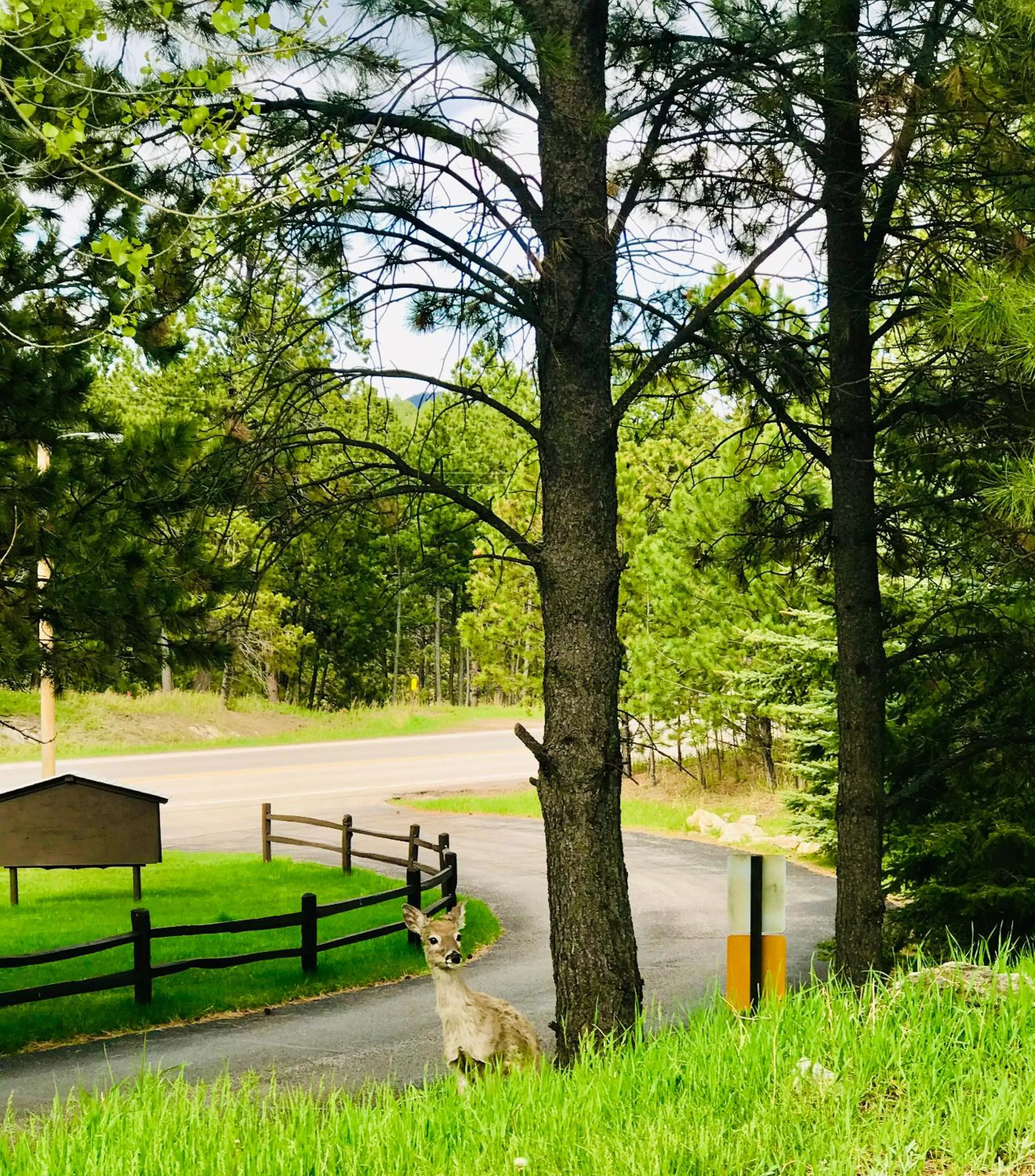 Property building in Bavarian Inn, Black Hills
