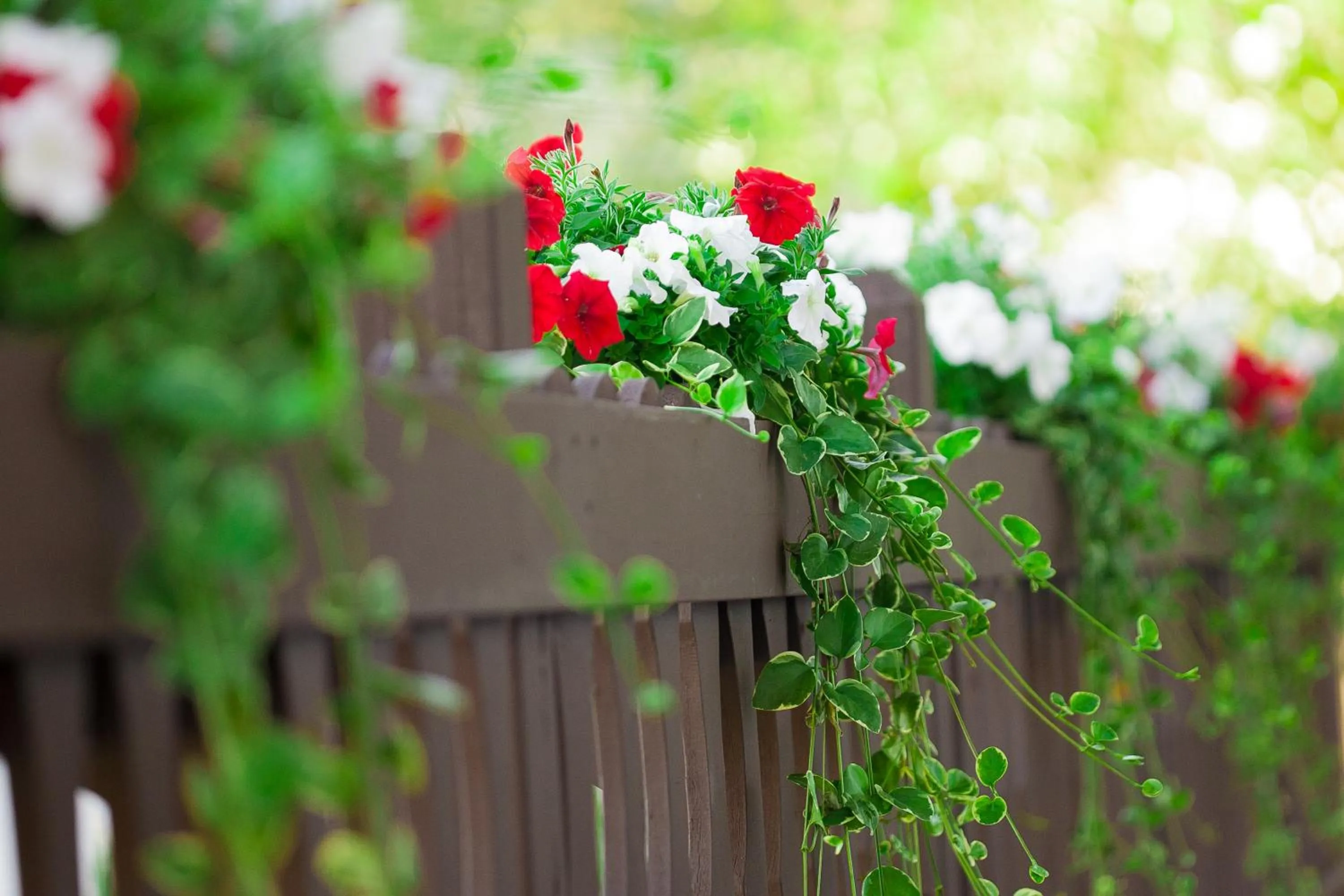 Balcony/Terrace in Bavarian Inn, Black Hills