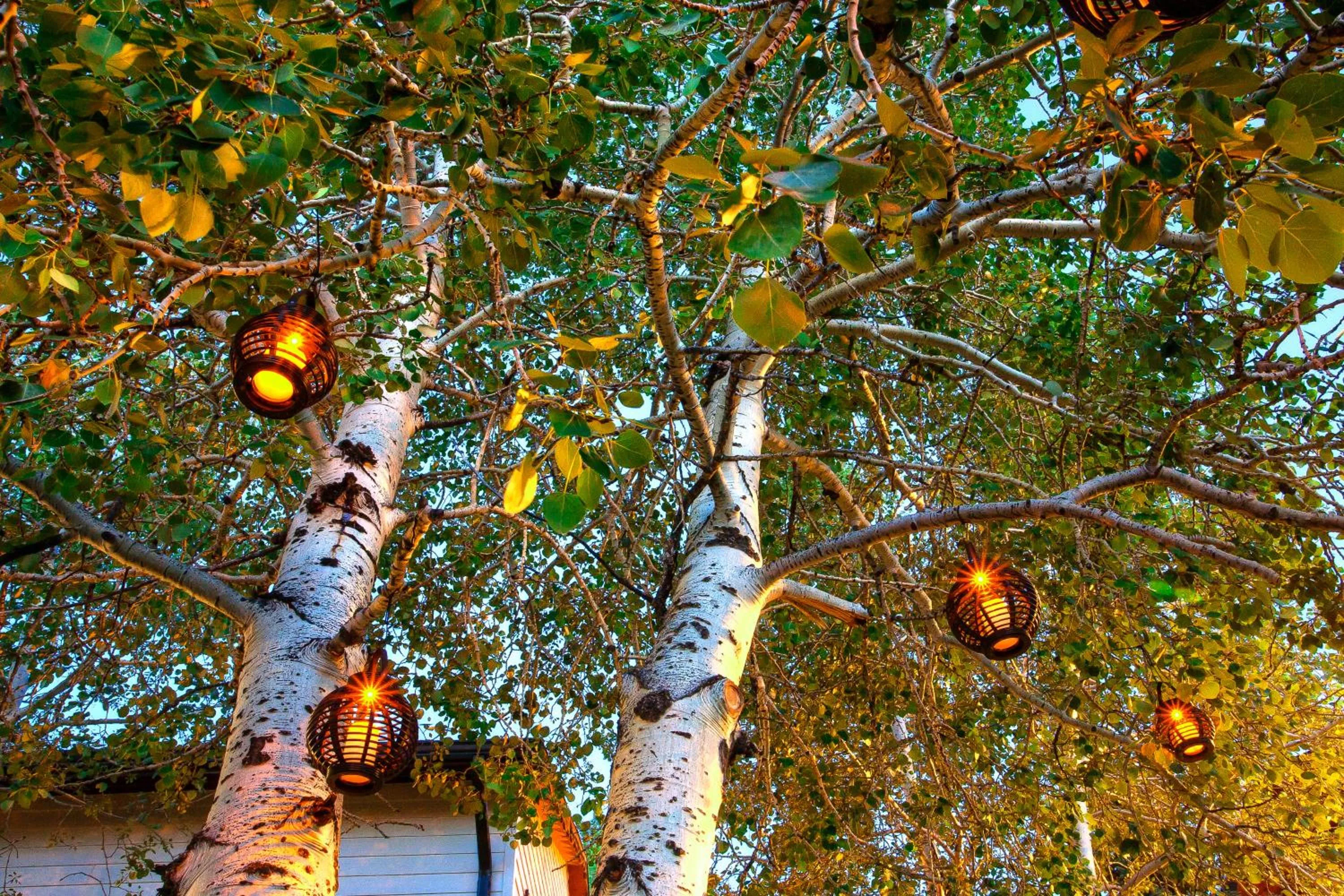Decorative detail in Bavarian Inn, Black Hills