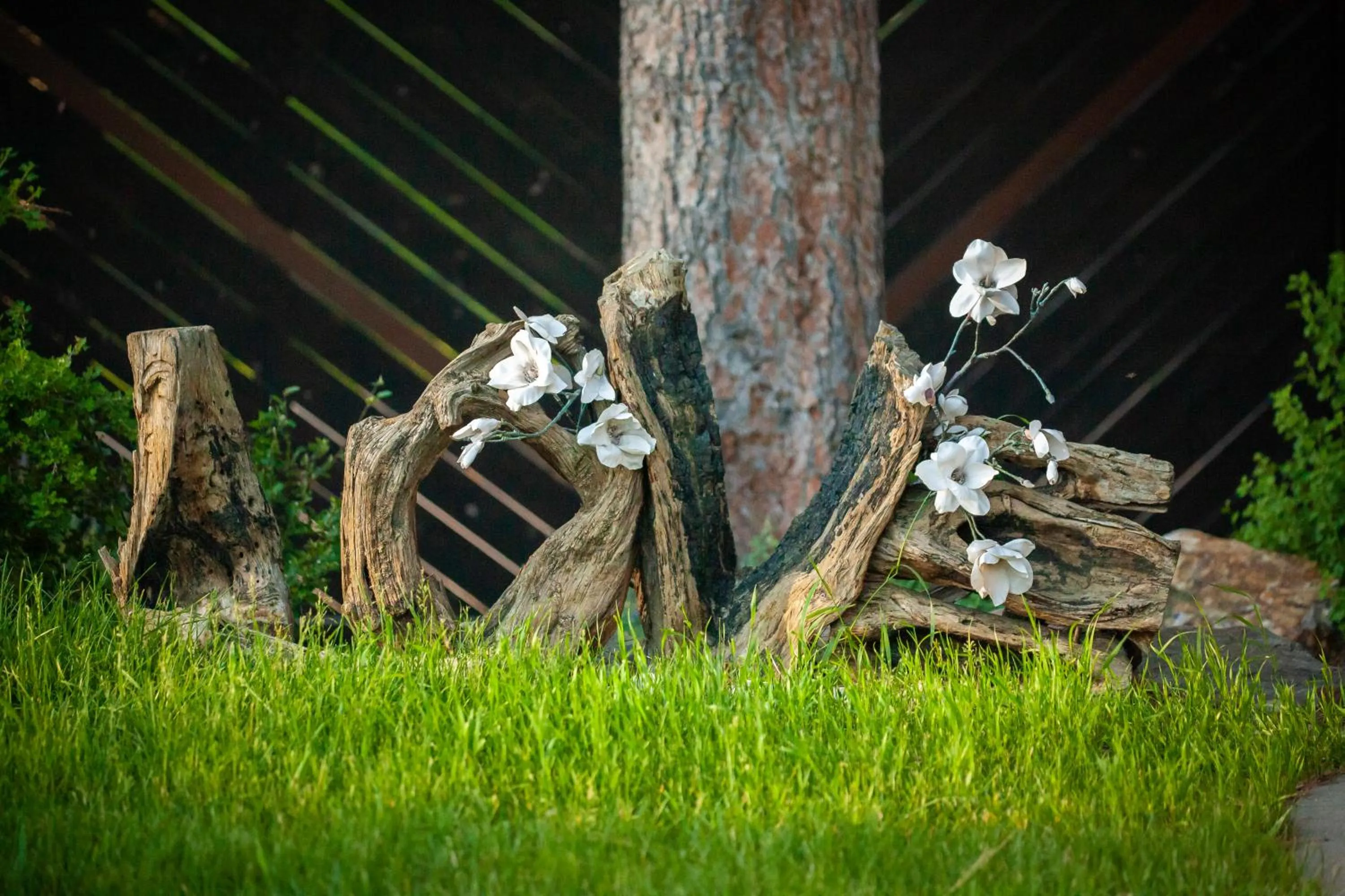 Bavarian Inn, Black Hills